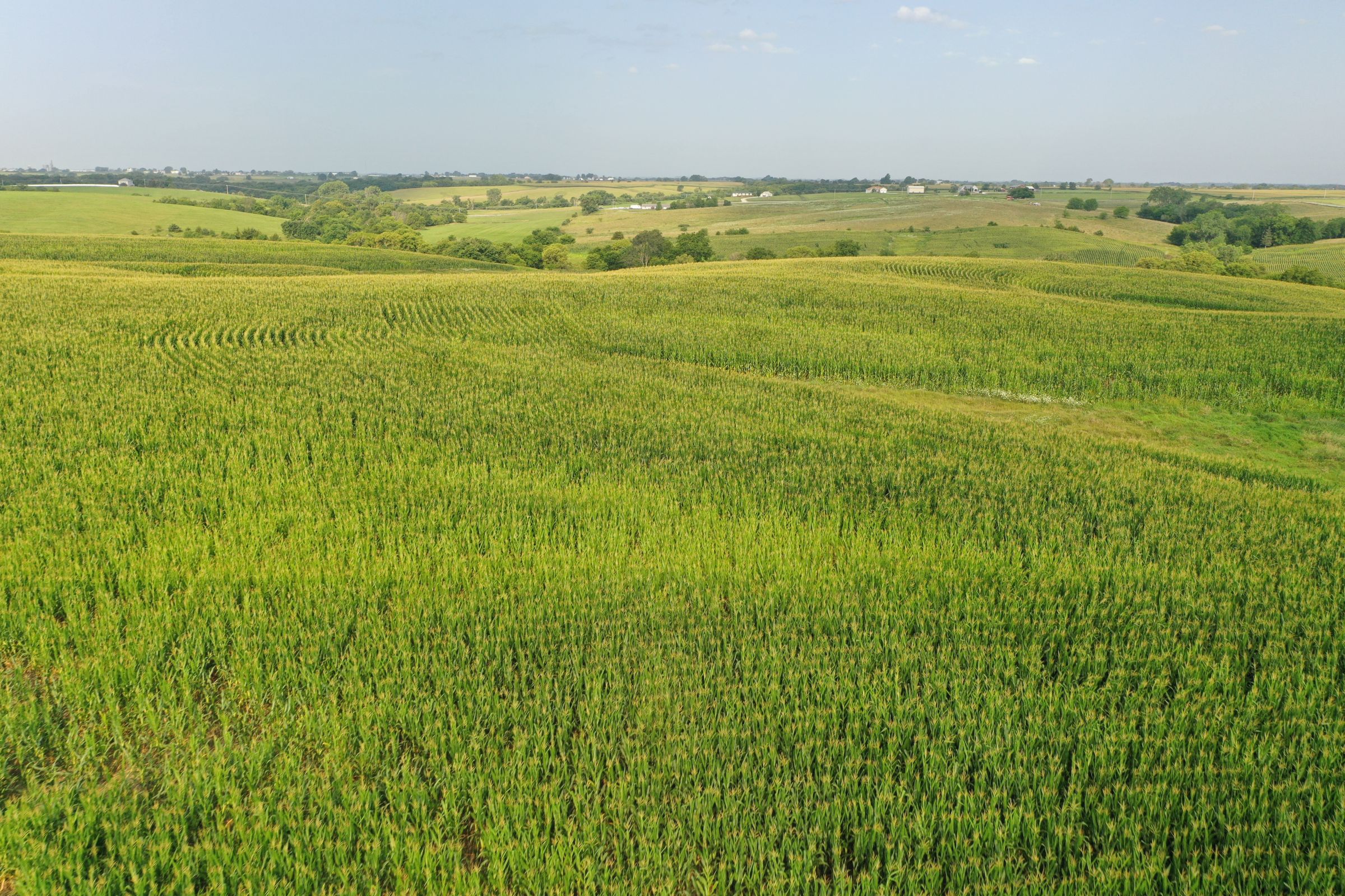 Clarke County Iowa Farmland For Sale