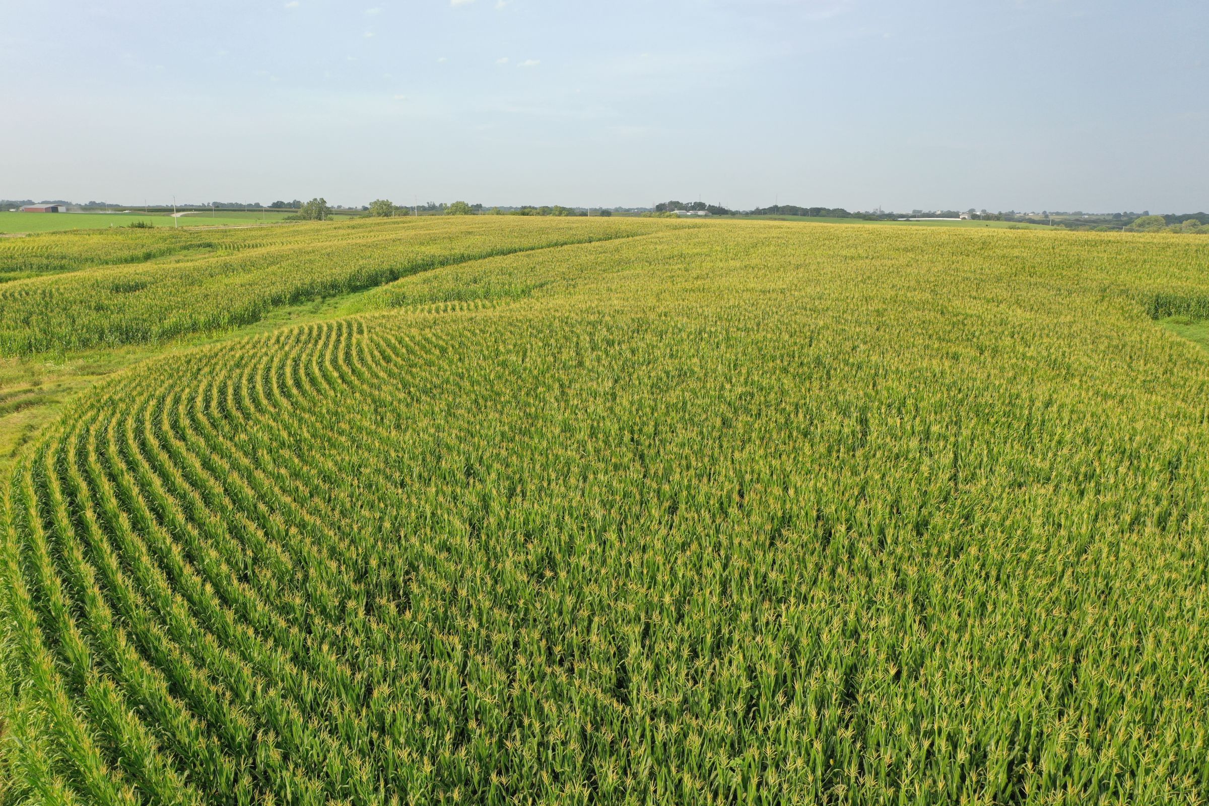 Clarke County Iowa Farmland For Sale