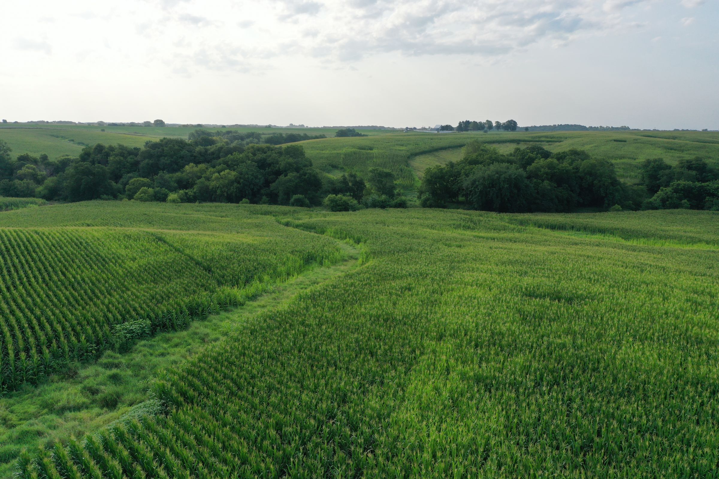 Clarke County Iowa Farmland For Sale