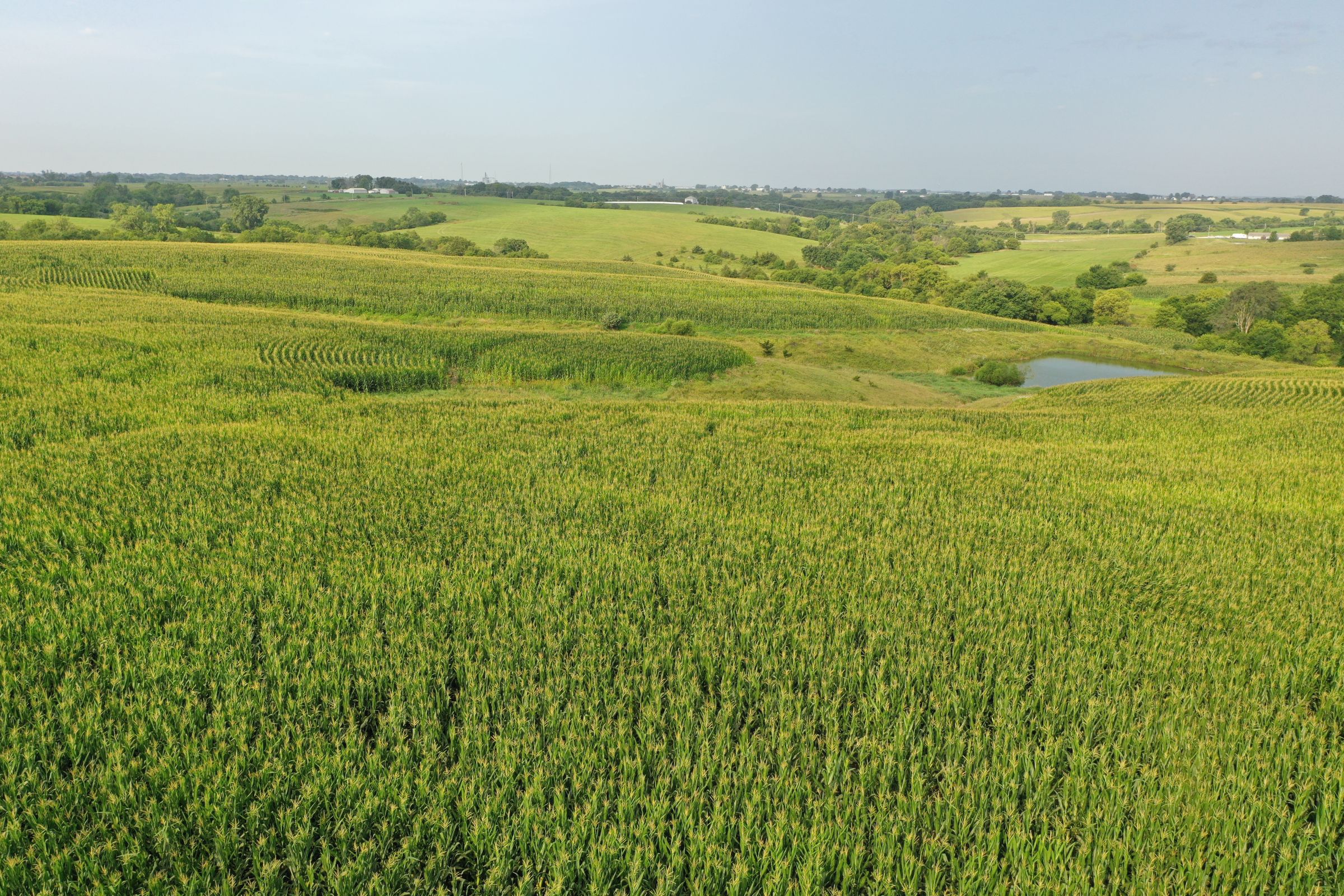 Clarke County Iowa Farmland For Sale