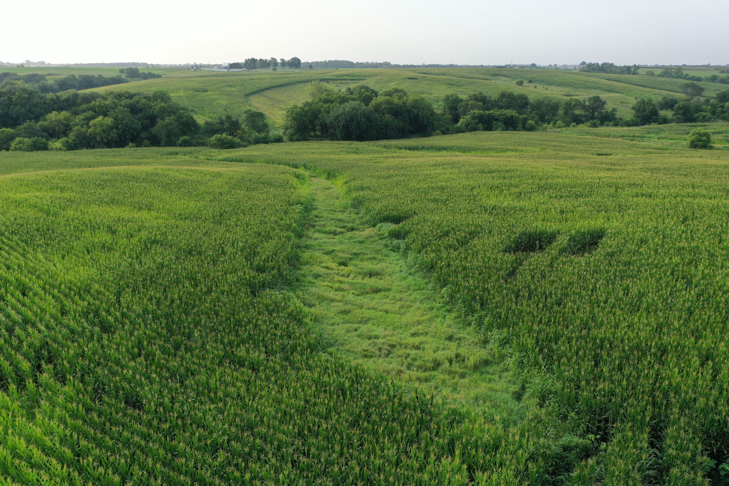 Clarke County Iowa Farmland For Sale