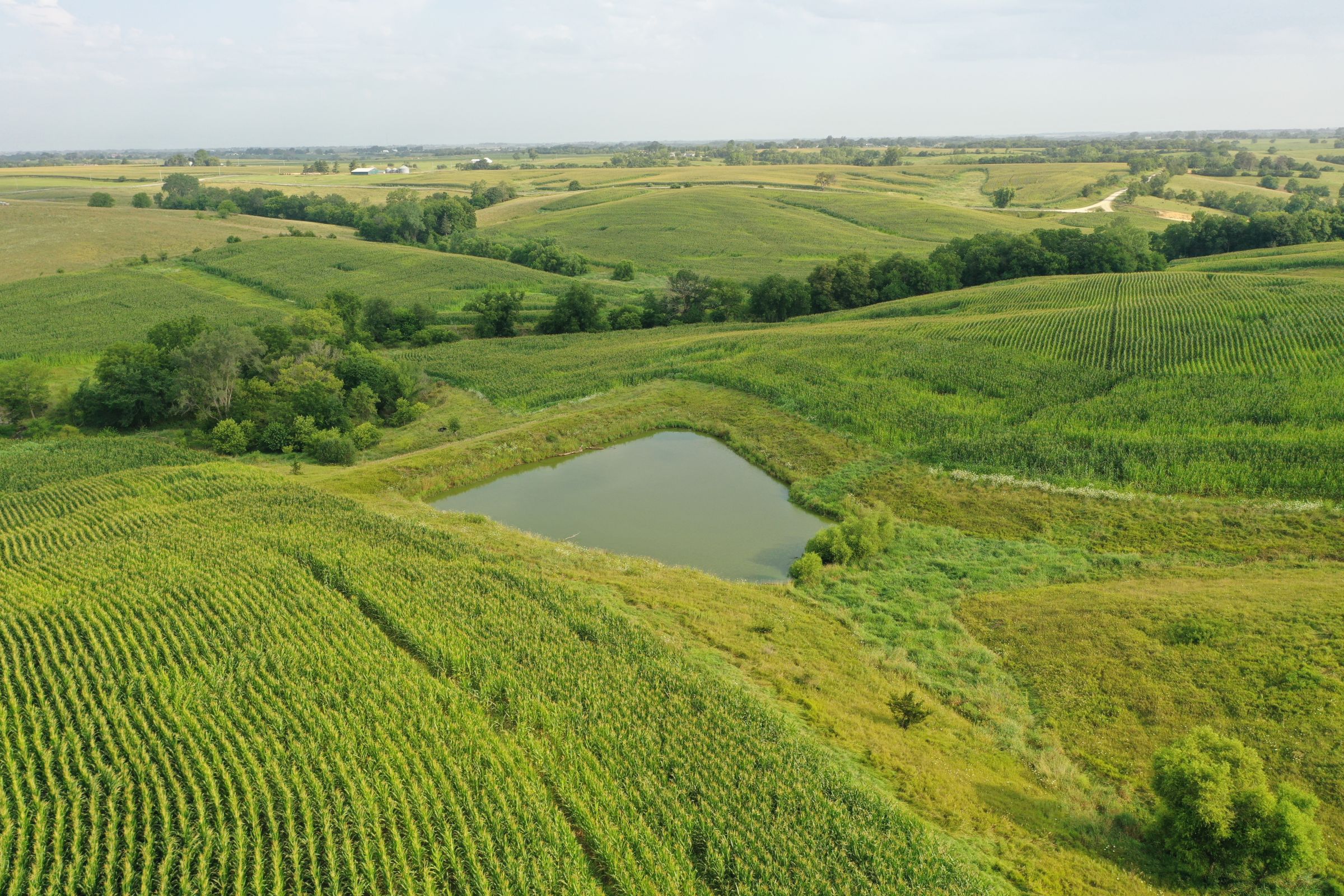 Clarke County Iowa Farmland For Sale