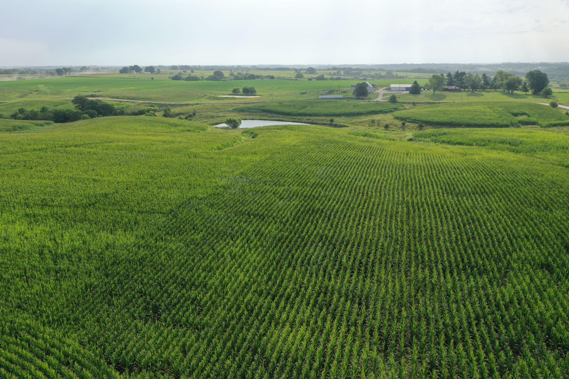 Clarke County Iowa Farmland For Sale