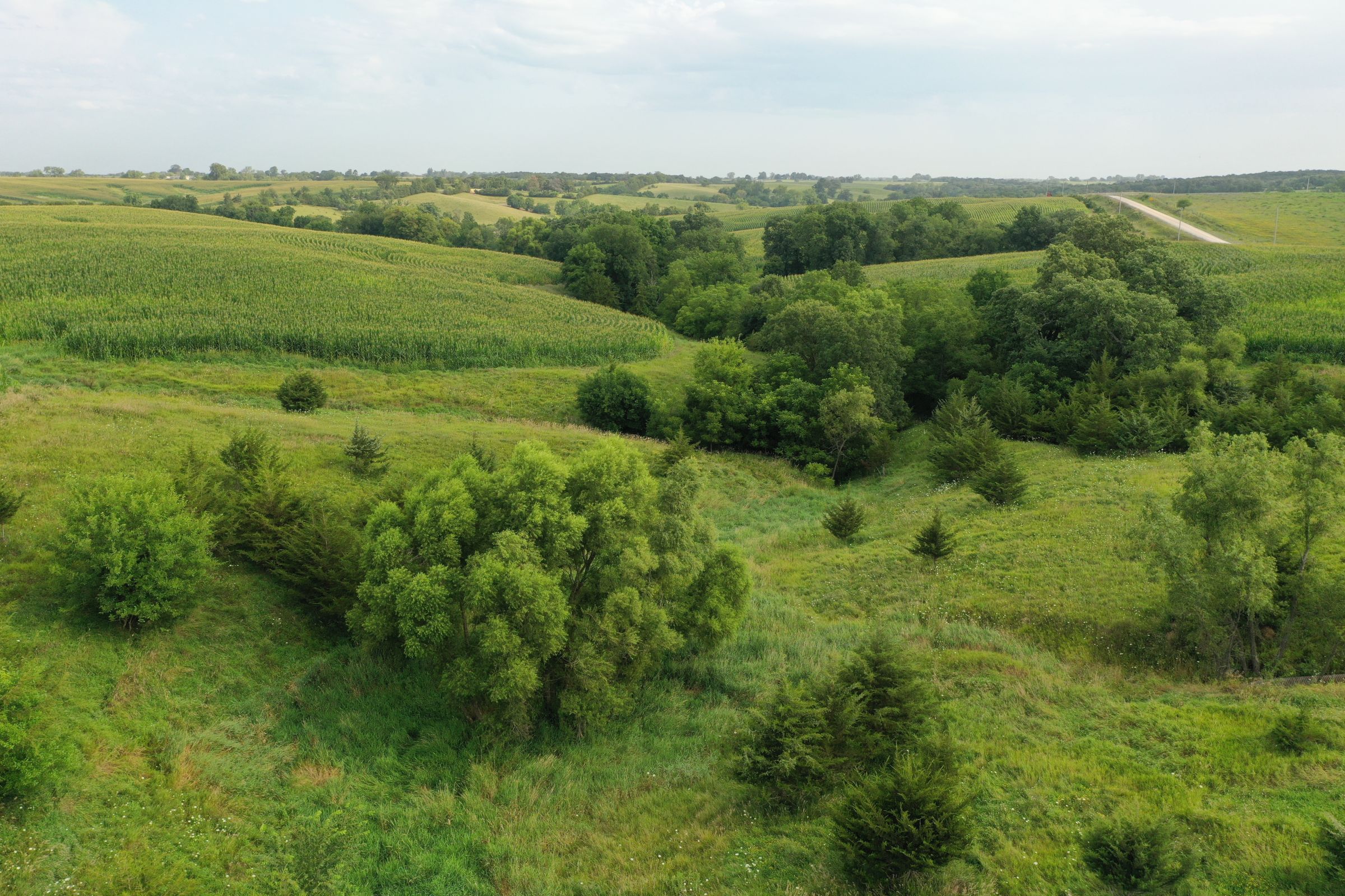 Clarke County Iowa Farmland For Sale