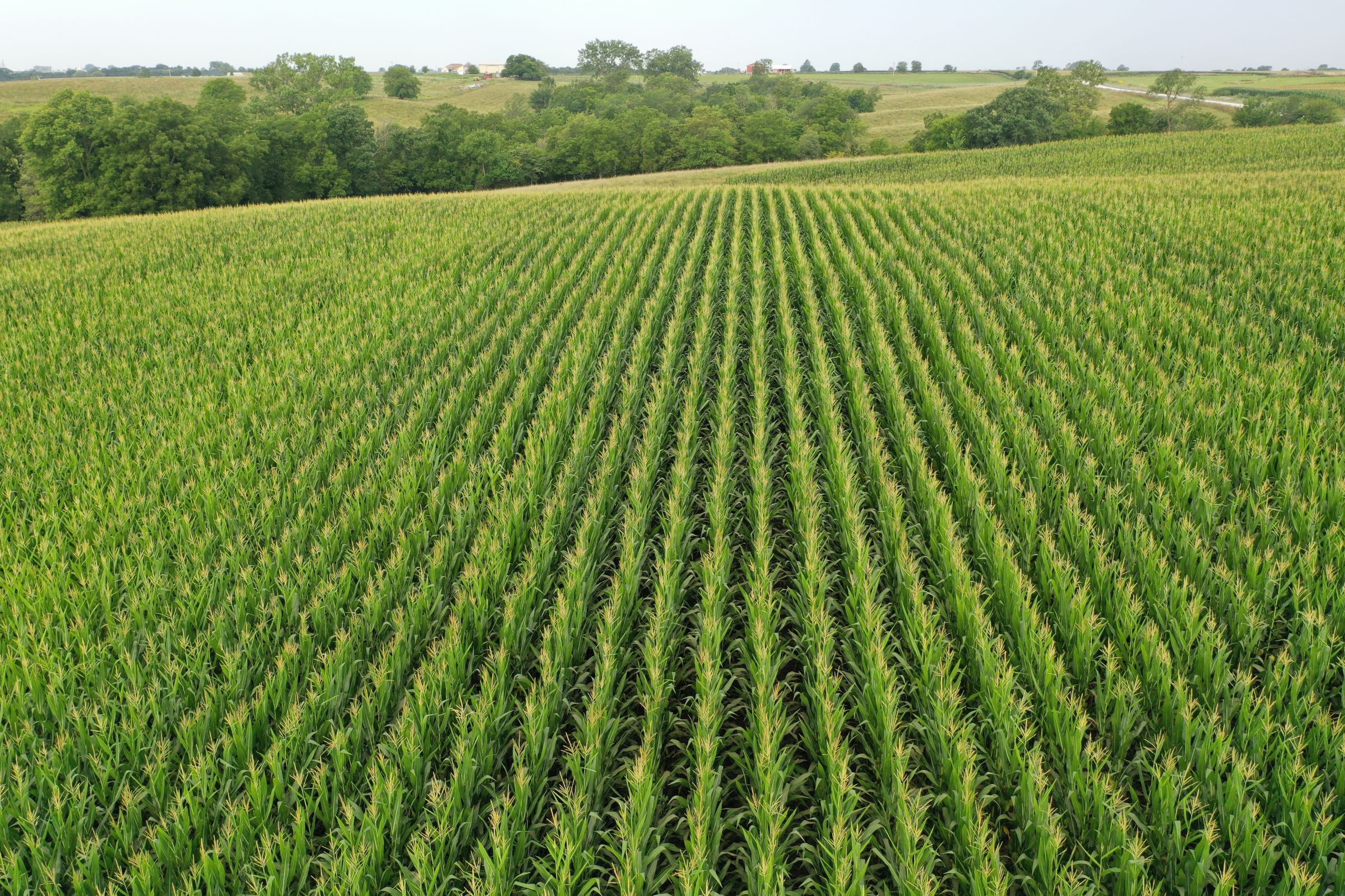 Clarke County Iowa Farmland For Sale