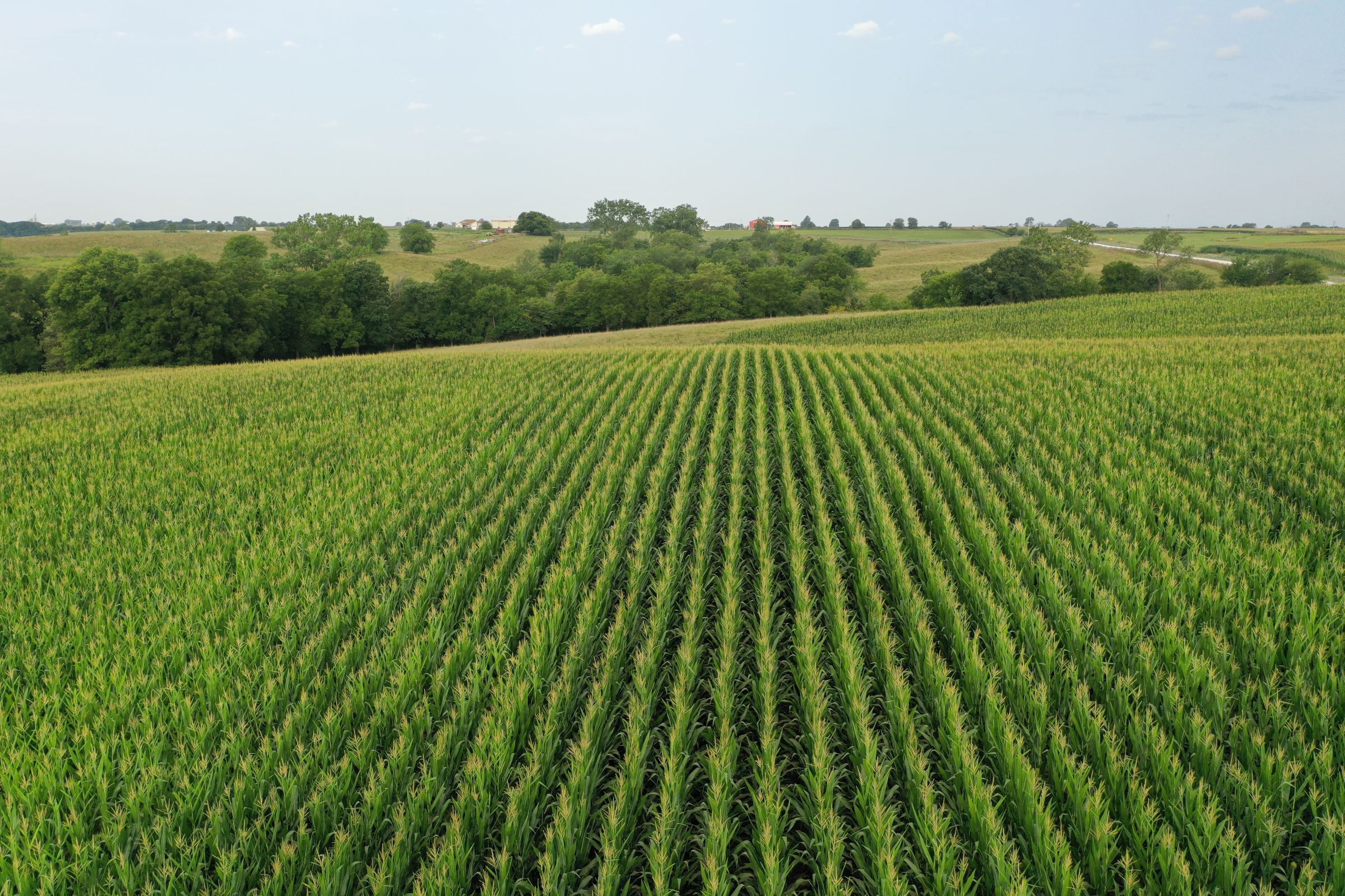 Clarke County Iowa Farmland For Sale