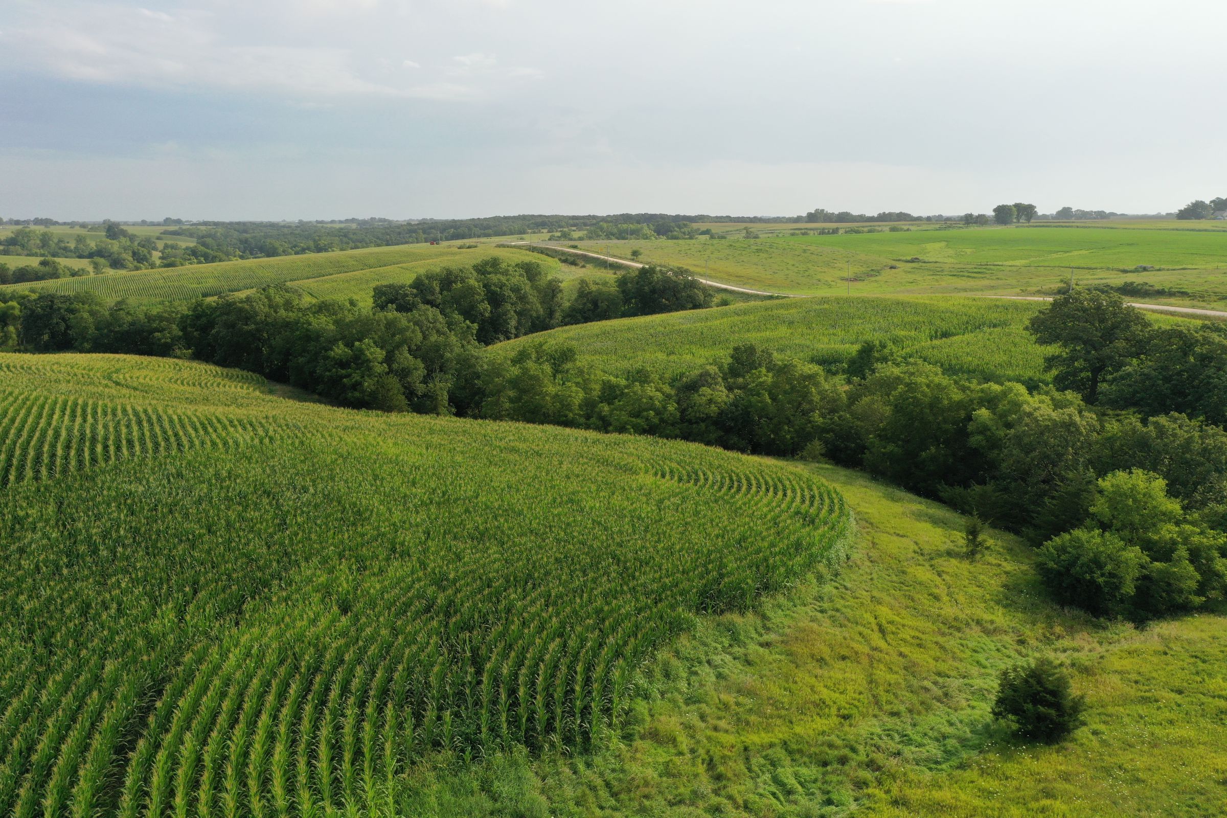 Clarke County Iowa Farmland For Sale