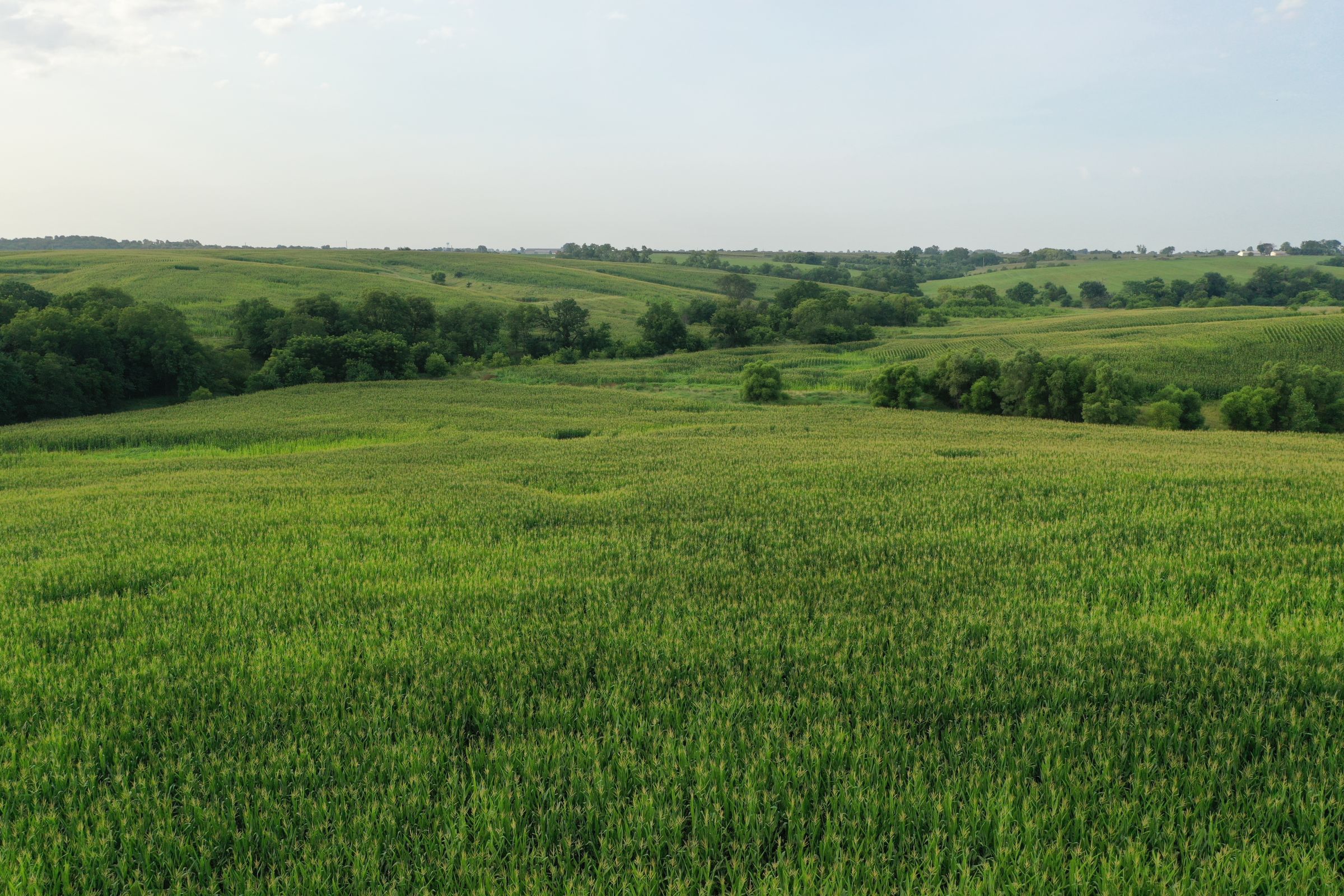 Clarke County Iowa Farmland For Sale