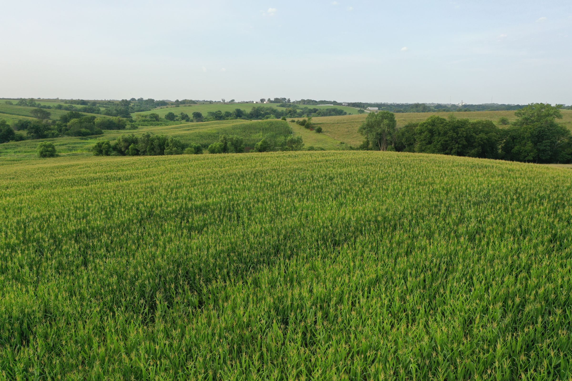 Clarke County Iowa Farmland For Sale