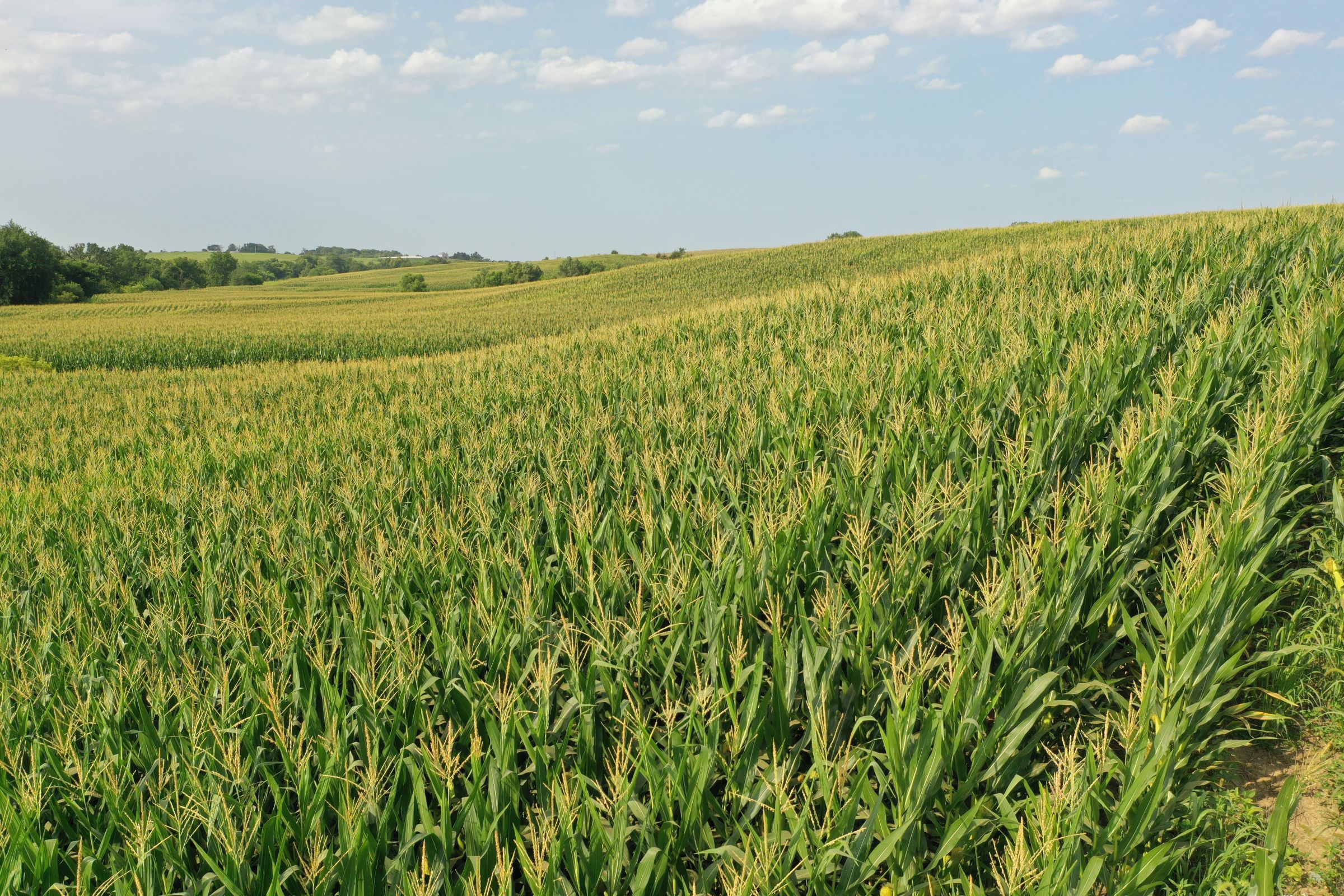 Clarke County Iowa Farmland For Sale