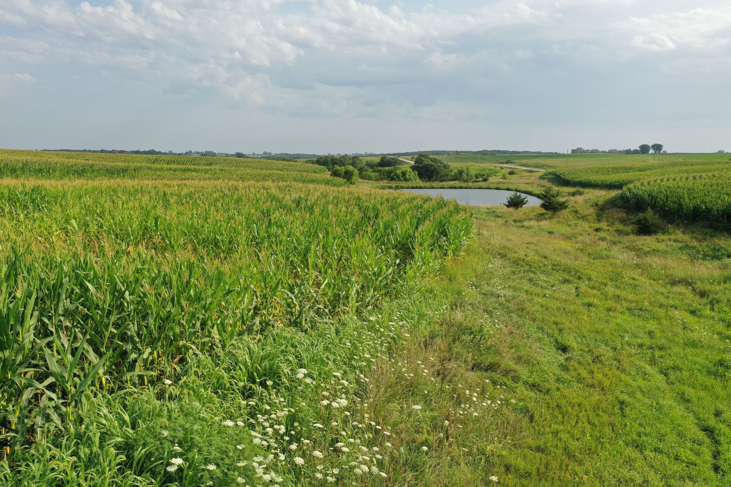 Clarke County Iowa Farmland For Sale