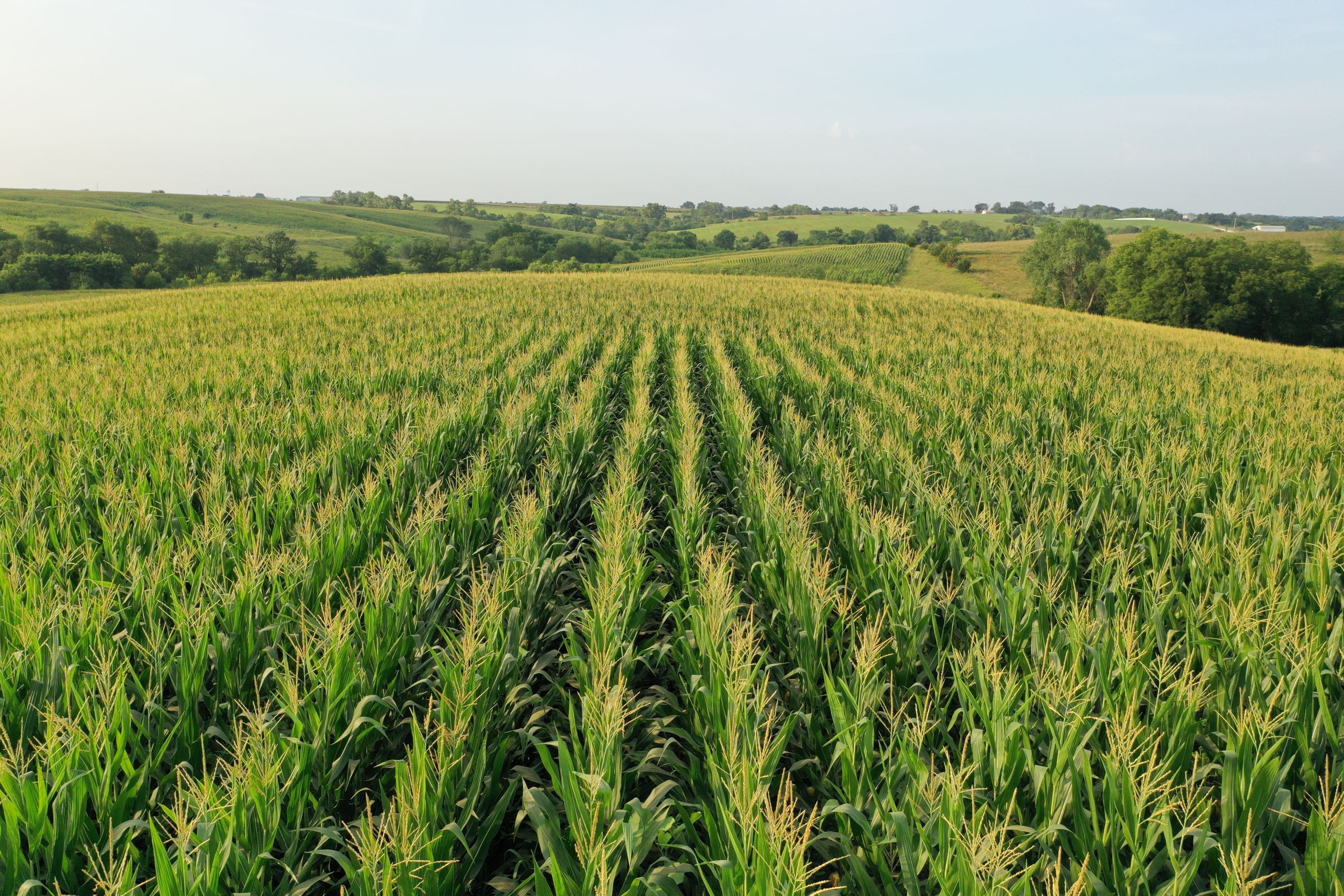 Clarke County Iowa Farmland For Sale