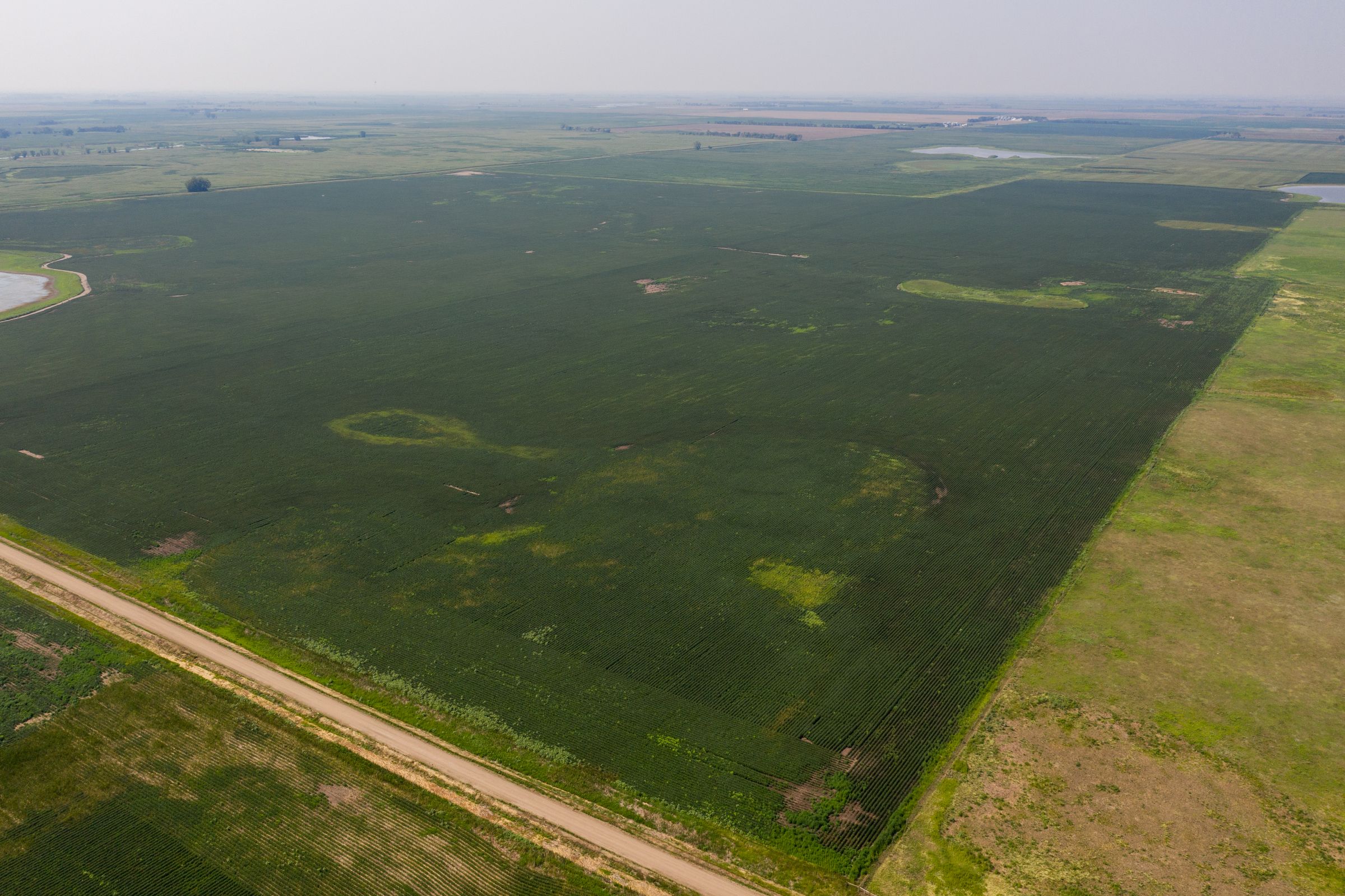 land-beadle-county-south-dakota-720-acres-listing-number-15673-1-2021-08-06-192228.jpeg