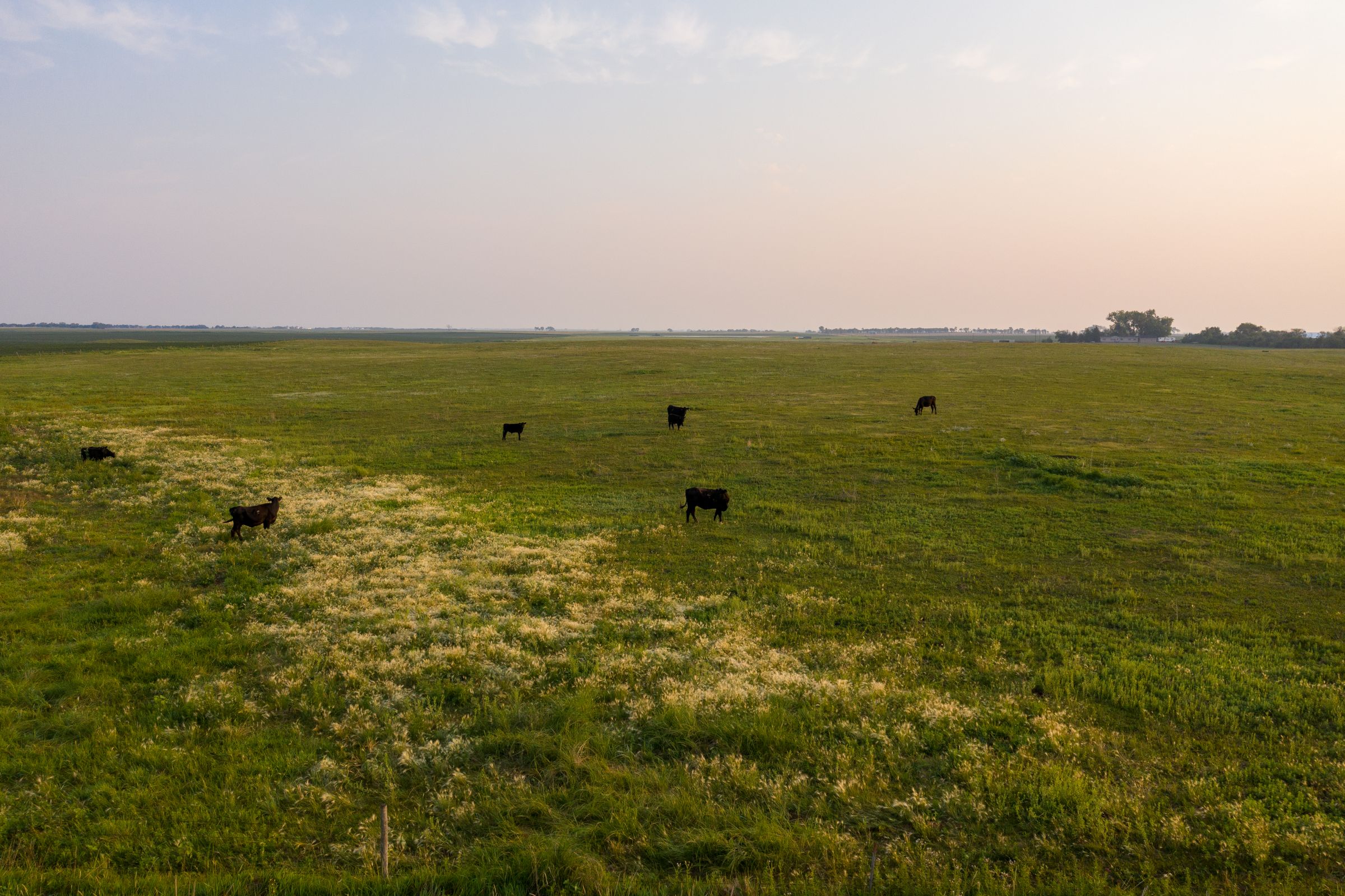 land-beadle-county-south-dakota-720-acres-listing-number-15673-1-2021-08-06-192333.jpeg