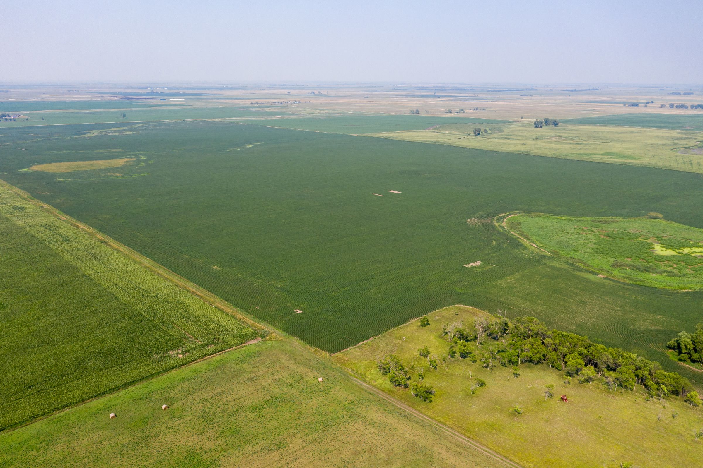 land-beadle-county-south-dakota-720-acres-listing-number-15673-2-2021-08-06-192231.jpeg