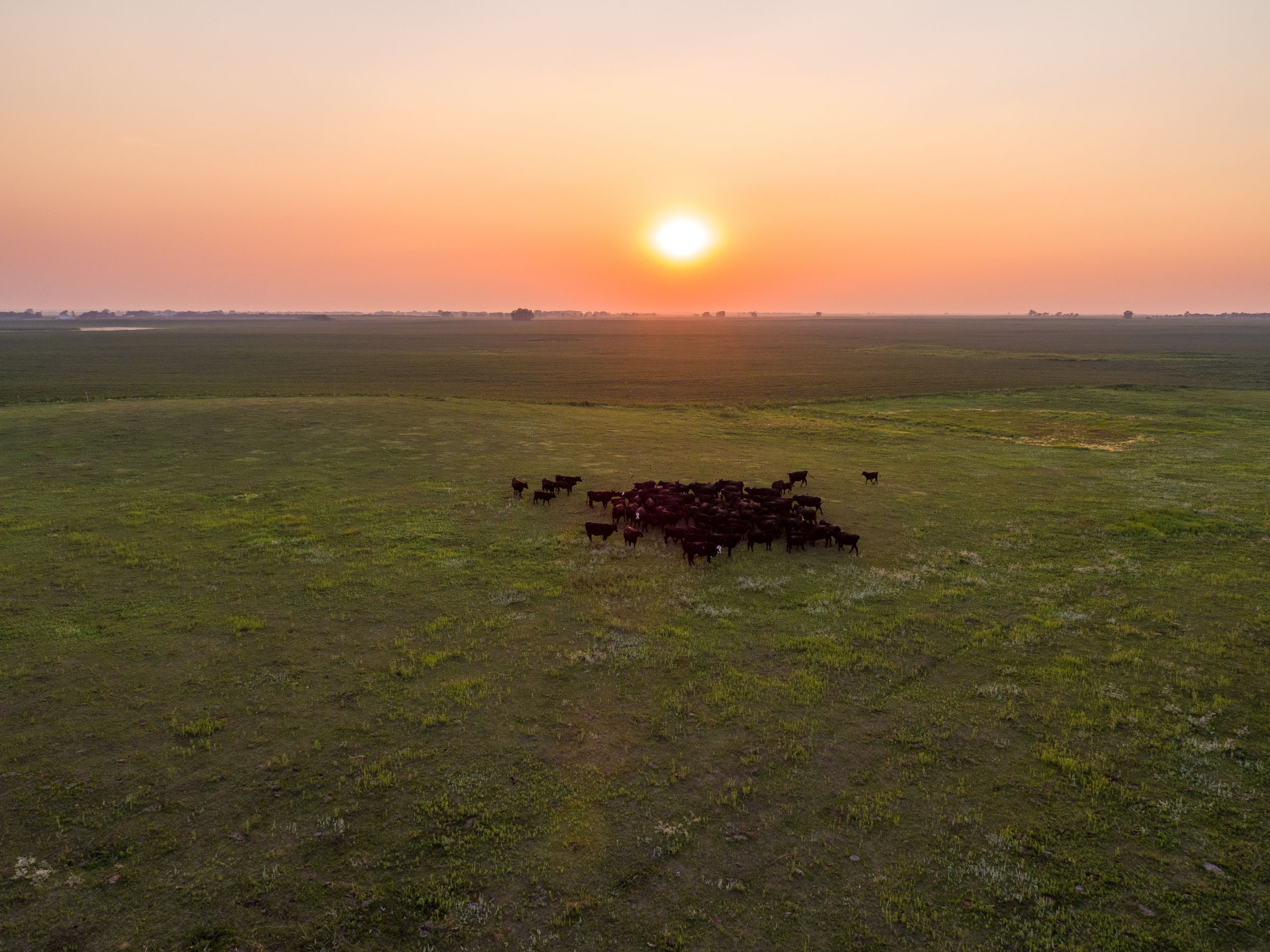 land-beadle-county-south-dakota-720-acres-listing-number-15673-2-2021-08-06-203403.jpeg