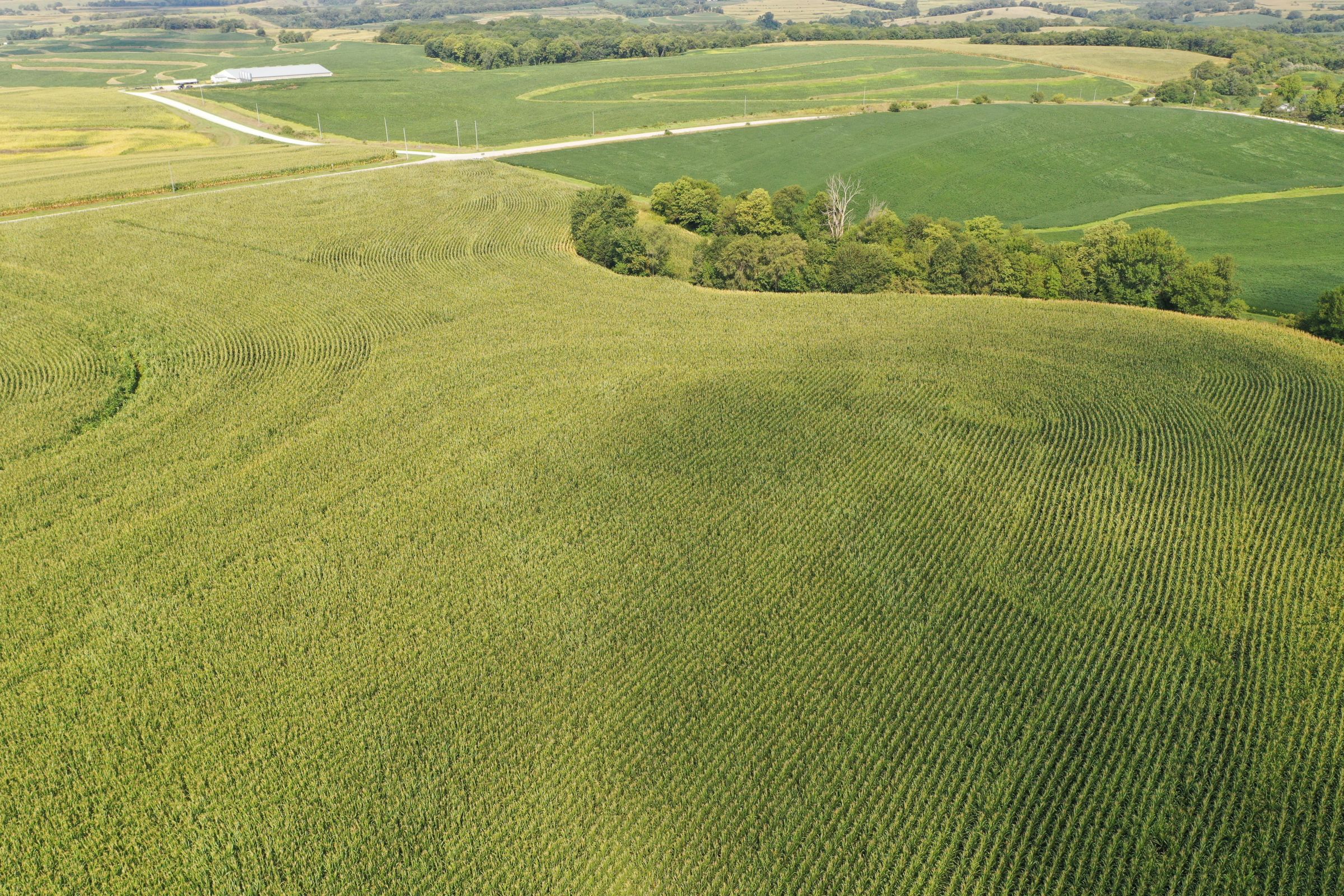 Fremont County Iowa Farmland For Sale Auction