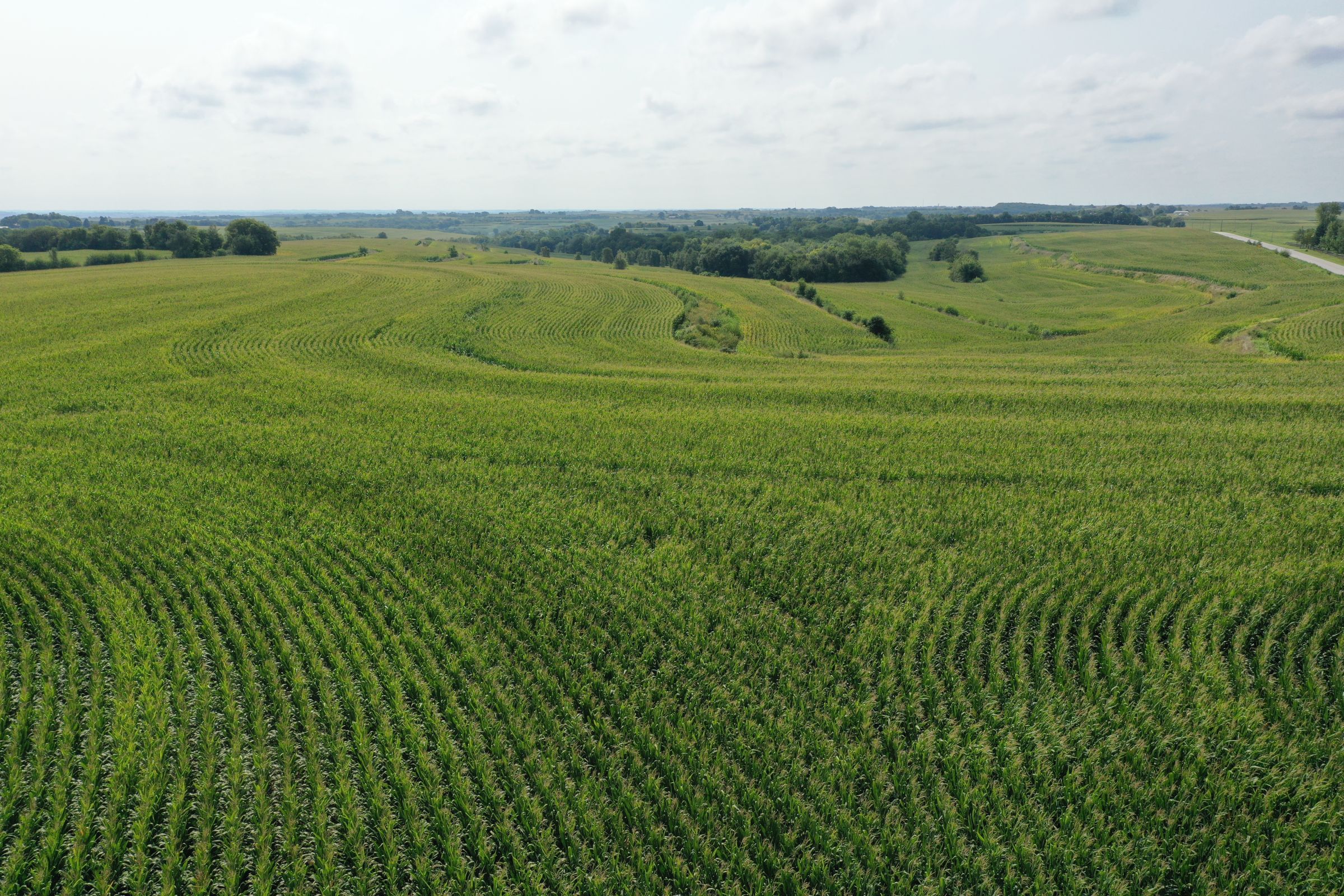Fremont County Iowa Farmland For Sale Auction