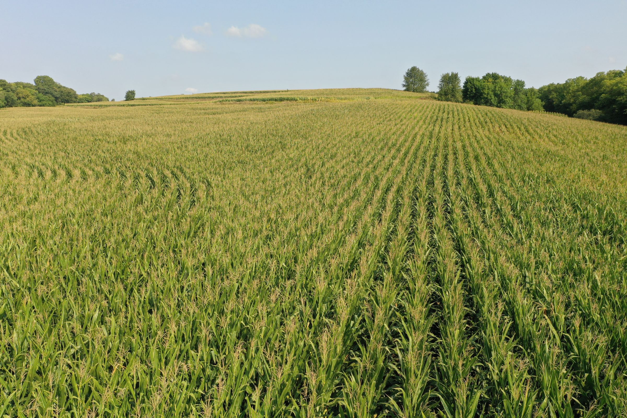 Fremont County Iowa Farmland For Sale Auction