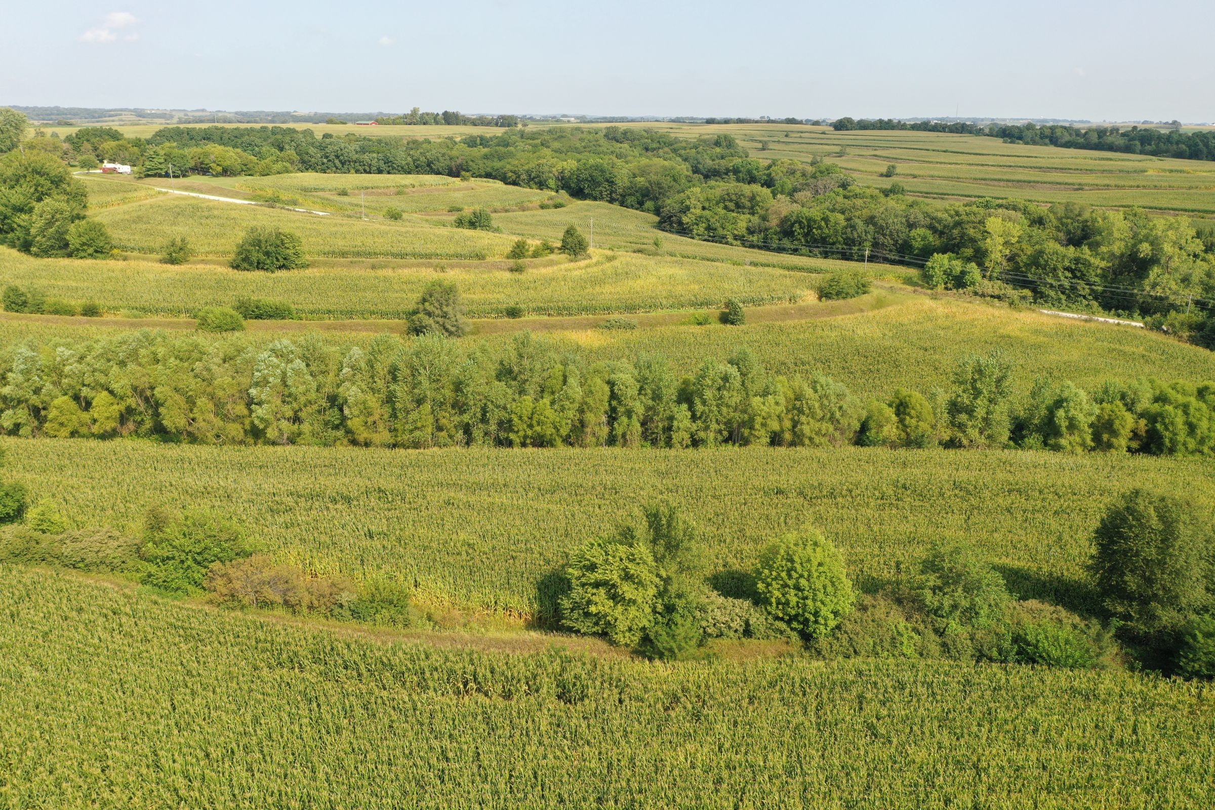 Fremont County Iowa Farmland For Sale Auction