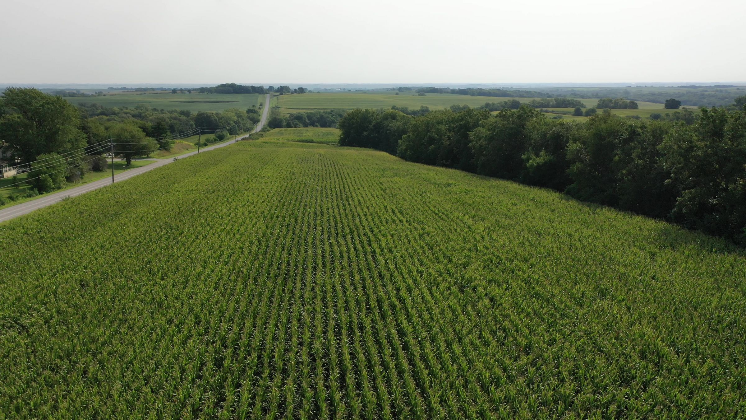 Fremont County Iowa Farmland For Sale Auction