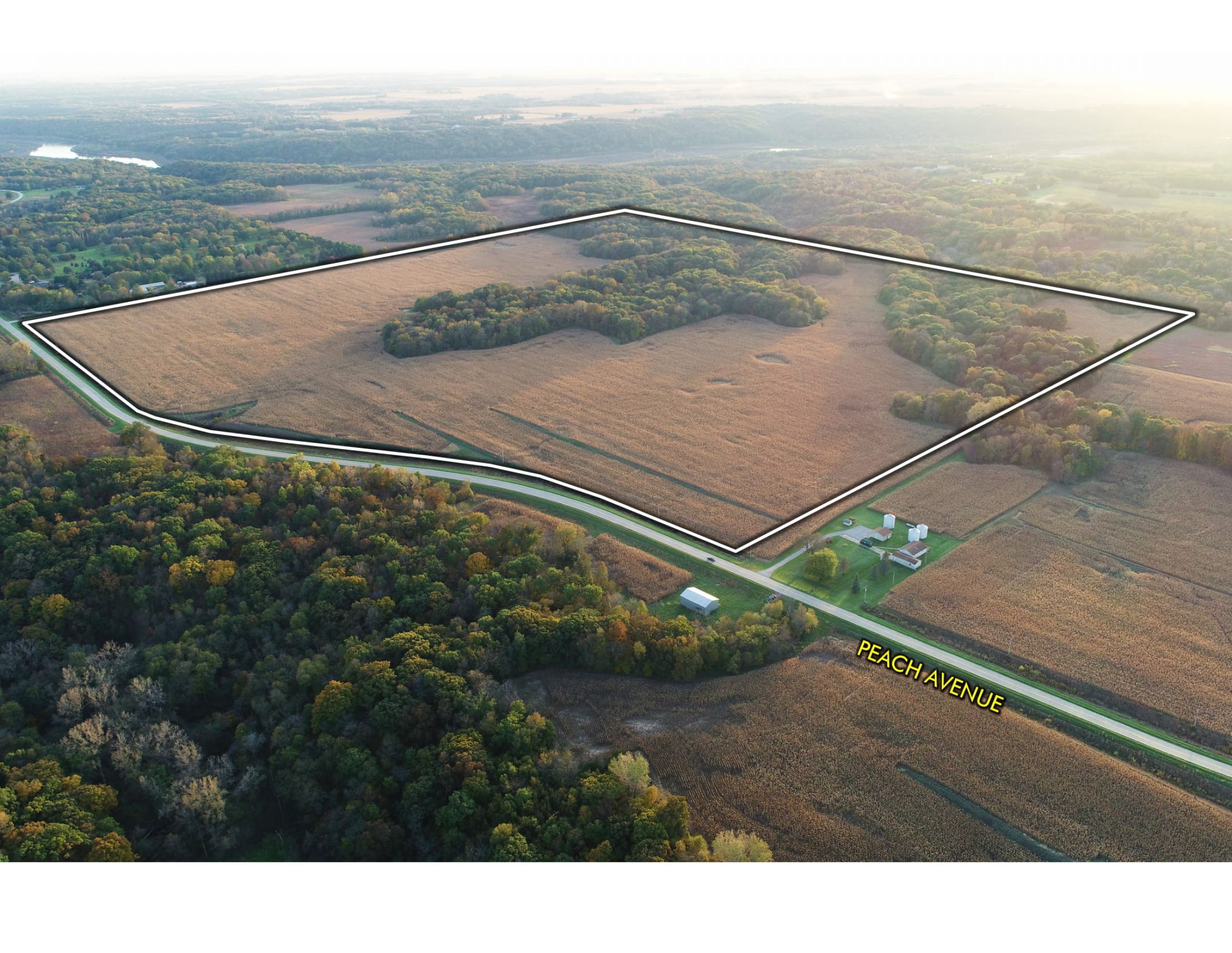 boone-county-iowa-147-acres-listing-number-15687-0-2021-08-16-162528.jpg