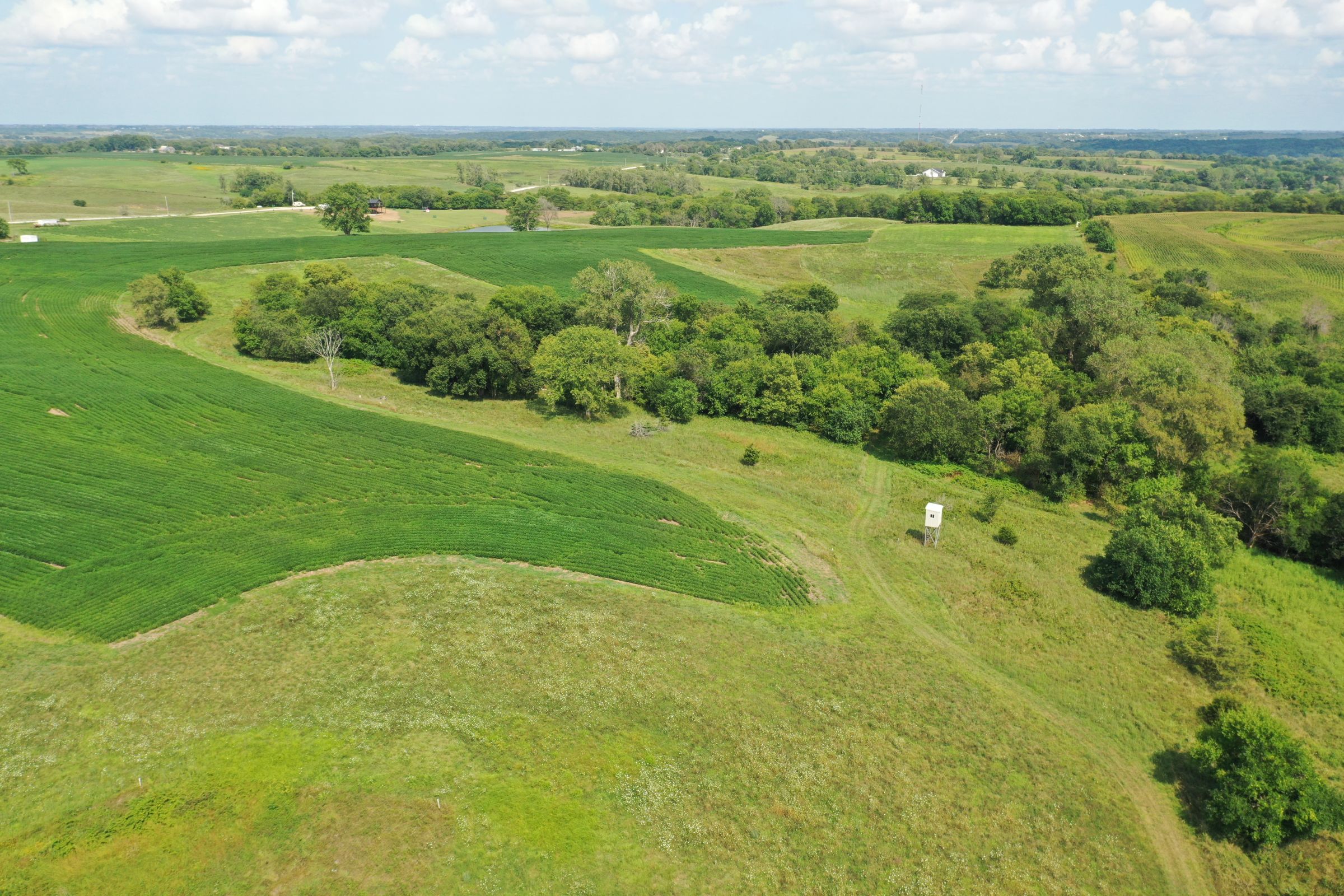 land-warren-county-iowa-8-acres-listing-number-15695-2-2021-09-01-185949.JPG