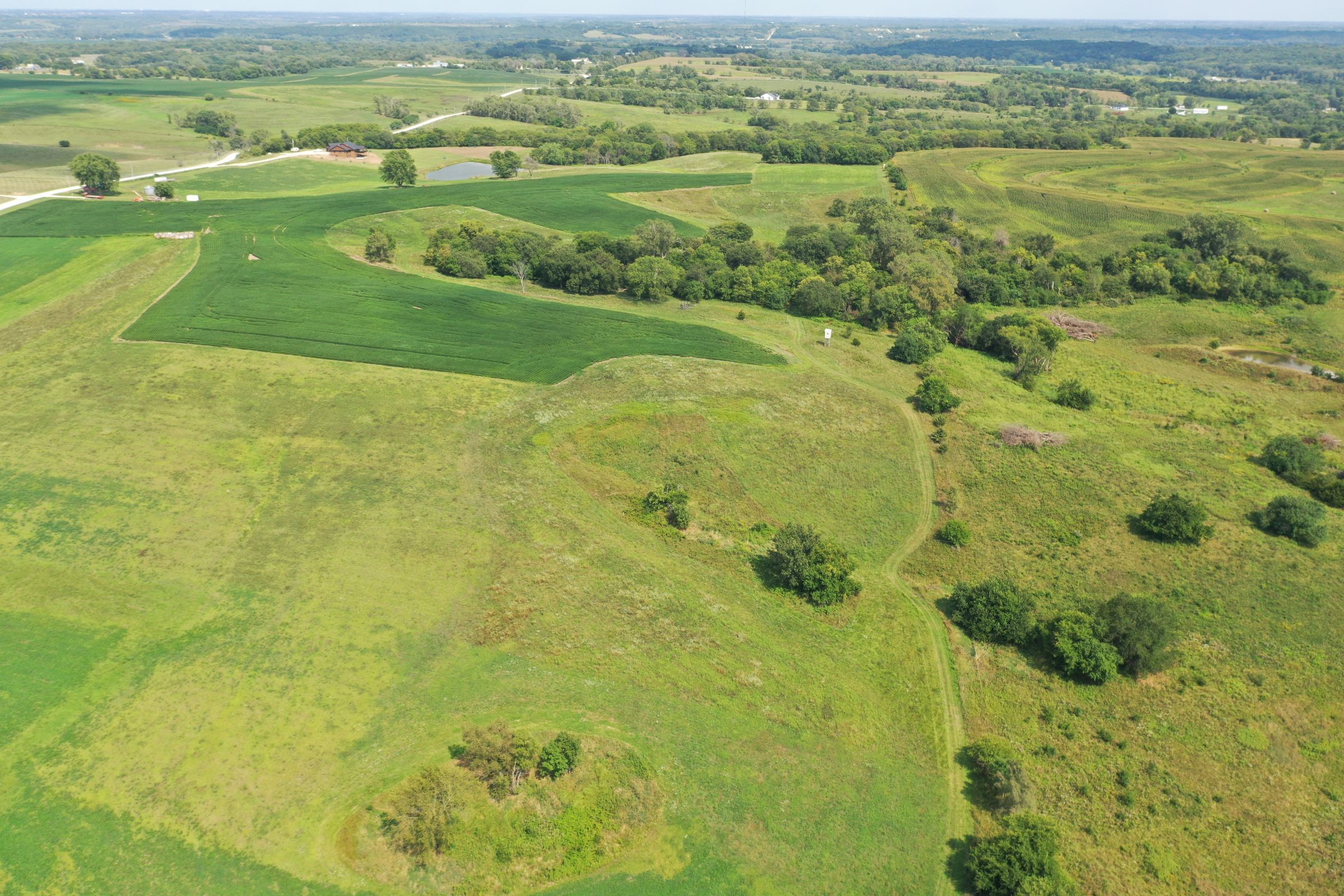 land-warren-county-iowa-8-acres-listing-number-15696-5-2021-08-24-222439.JPG