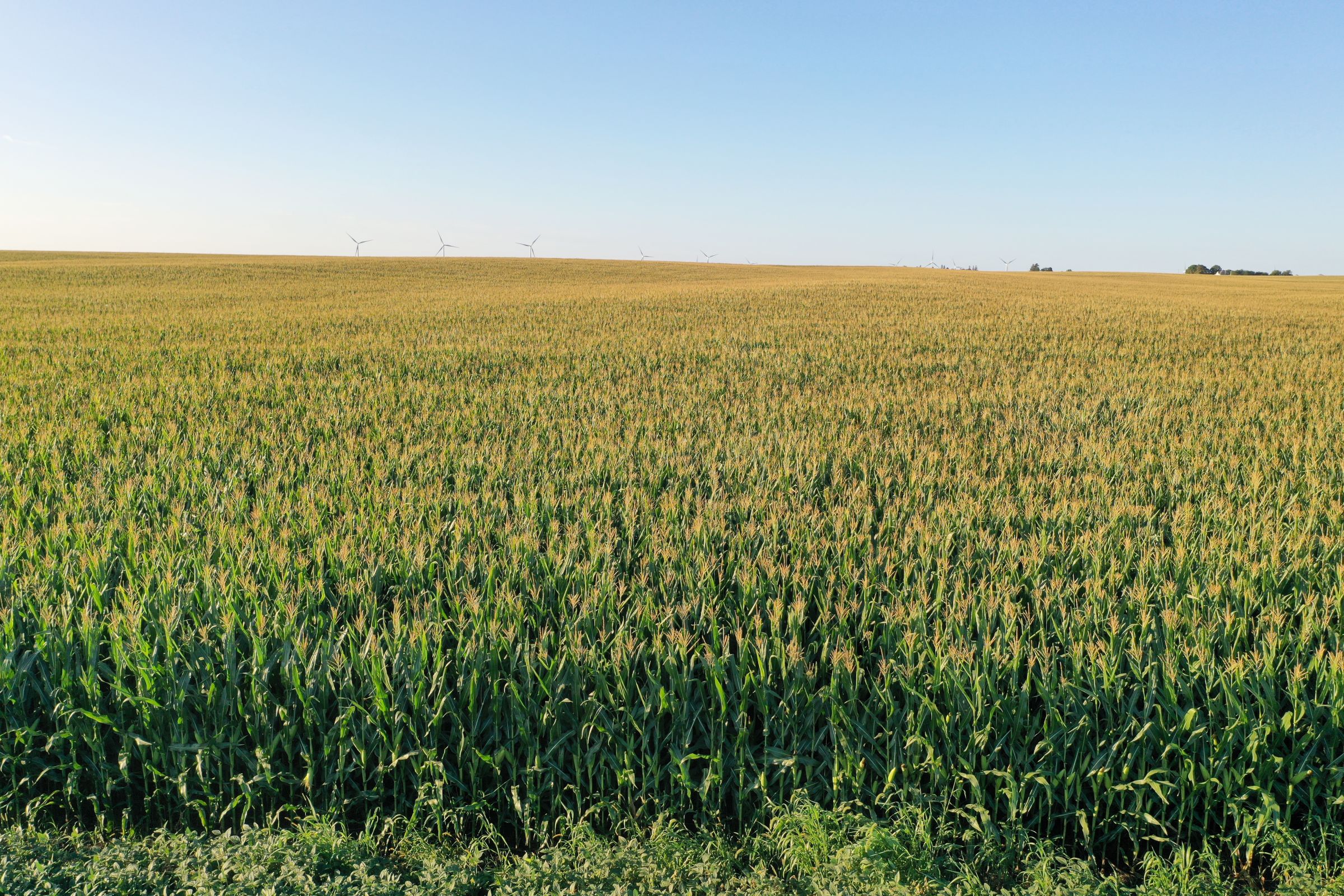 Shelby County Iowa Farmland For Sale