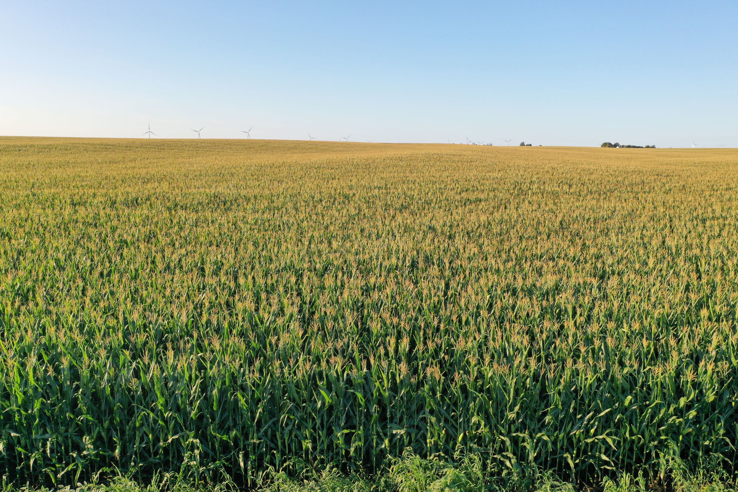 Shelby County Iowa Farmland For Sale