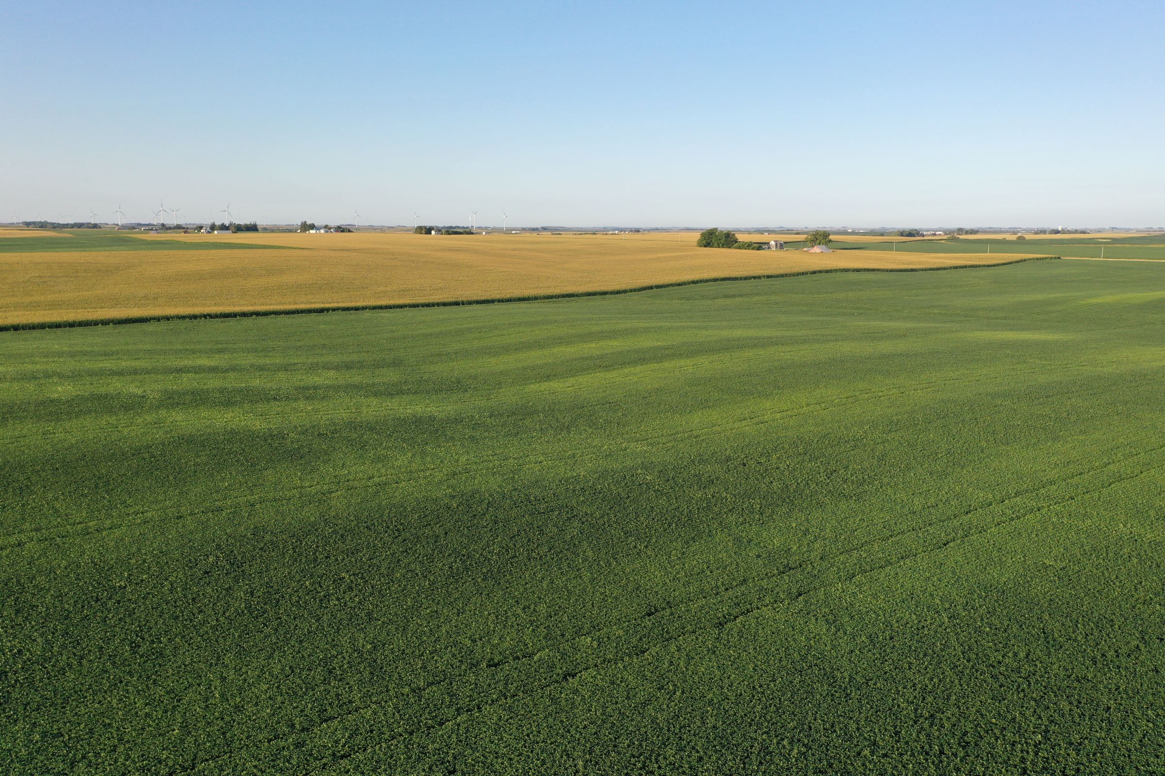 Shelby County Iowa Farmland For Sale