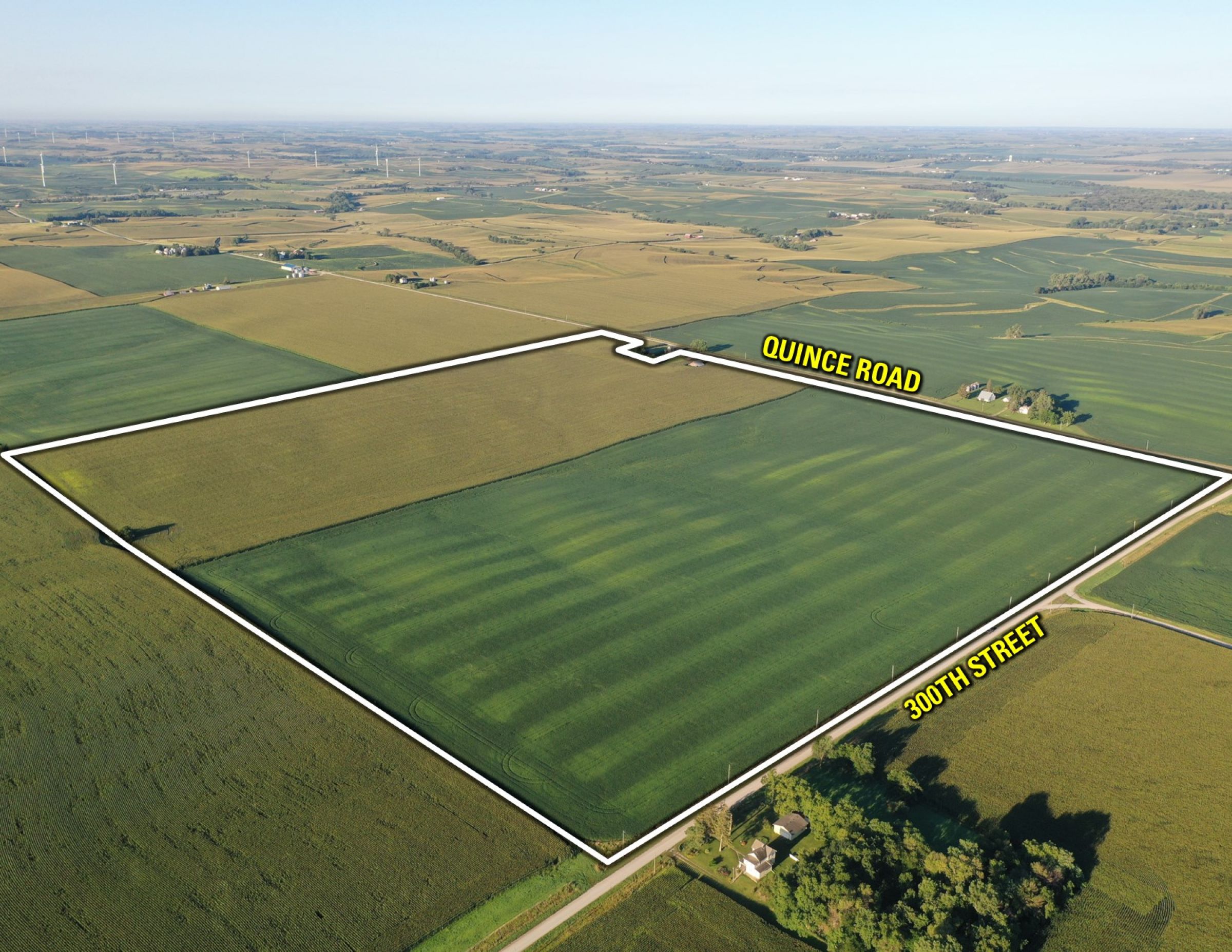 Shelby County Iowa Farmland For Sale