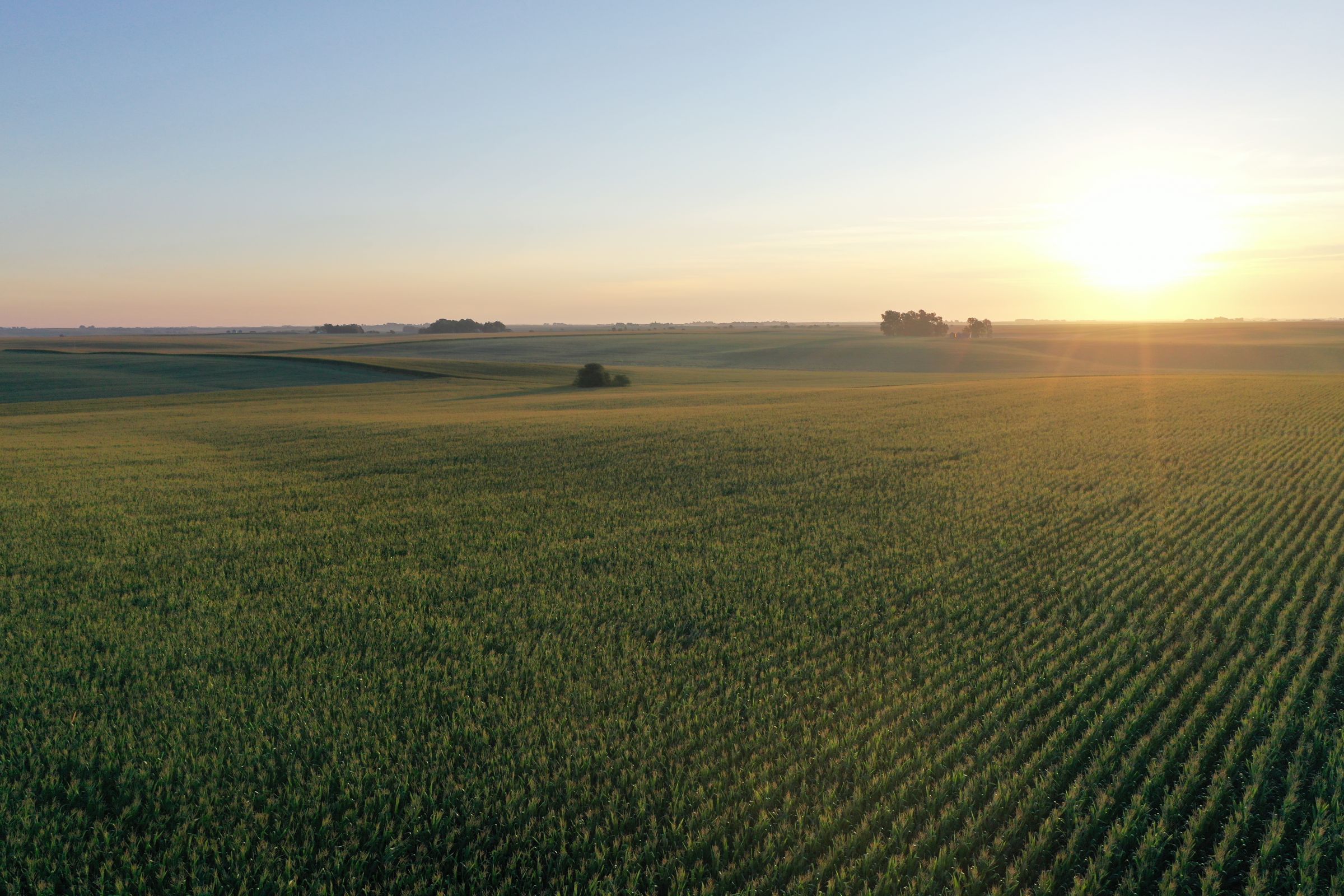 Shelby County Iowa Farmland For Sale