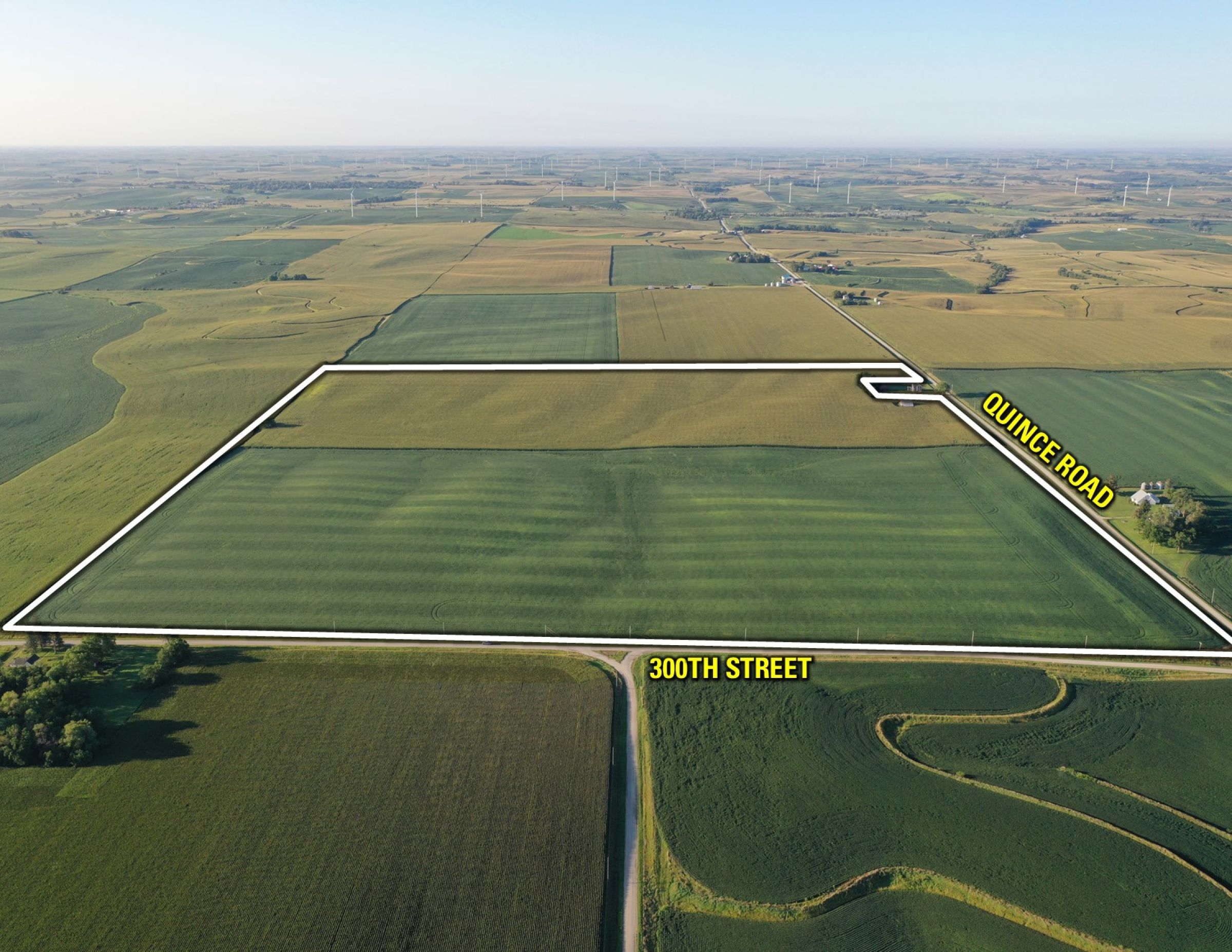 Shelby County Iowa Farmland For Sale