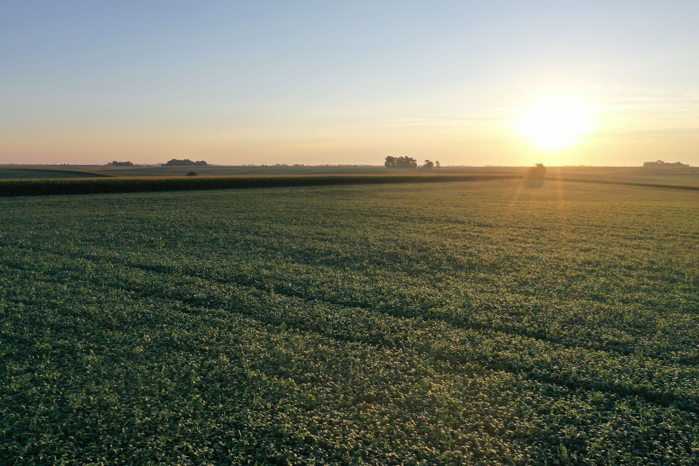 Shelby County Iowa Farmland For Sale