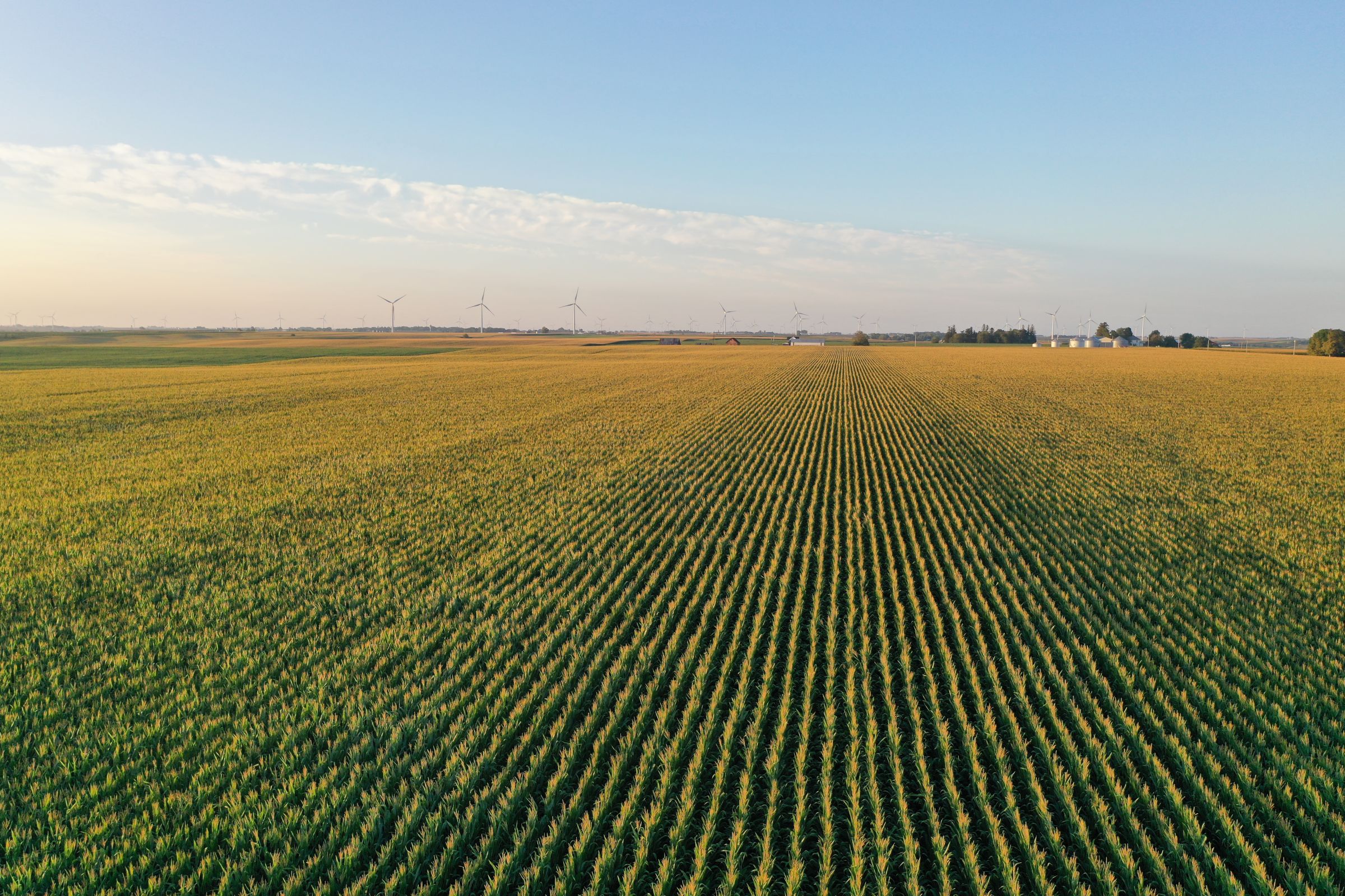 Shelby County Iowa Farmland For Sale