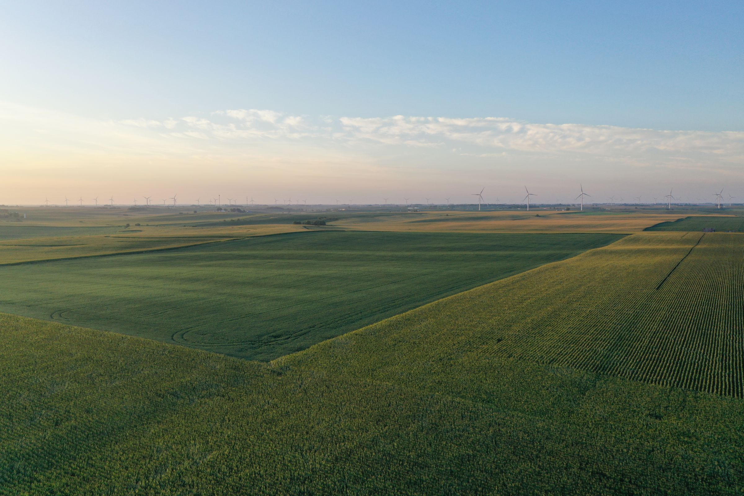 Shelby County Iowa Farmland For Sale