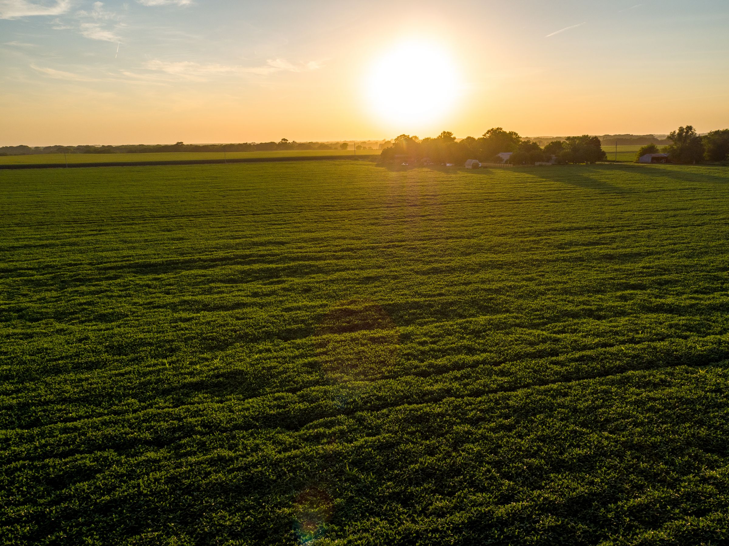 auctions-land-cass-county-nebraska-107-acres-listing-number-15713-0-2021-09-01-190823.jpeg