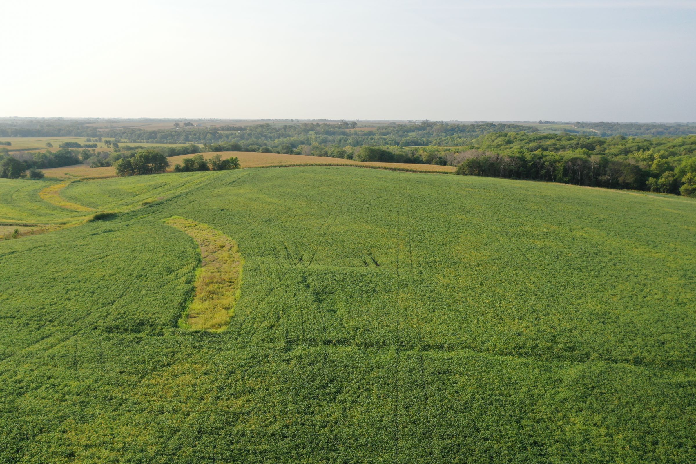 auctions-marion-county-iowa-70-acres-listing-number-15722-4-2021-09-07-170948.JPG