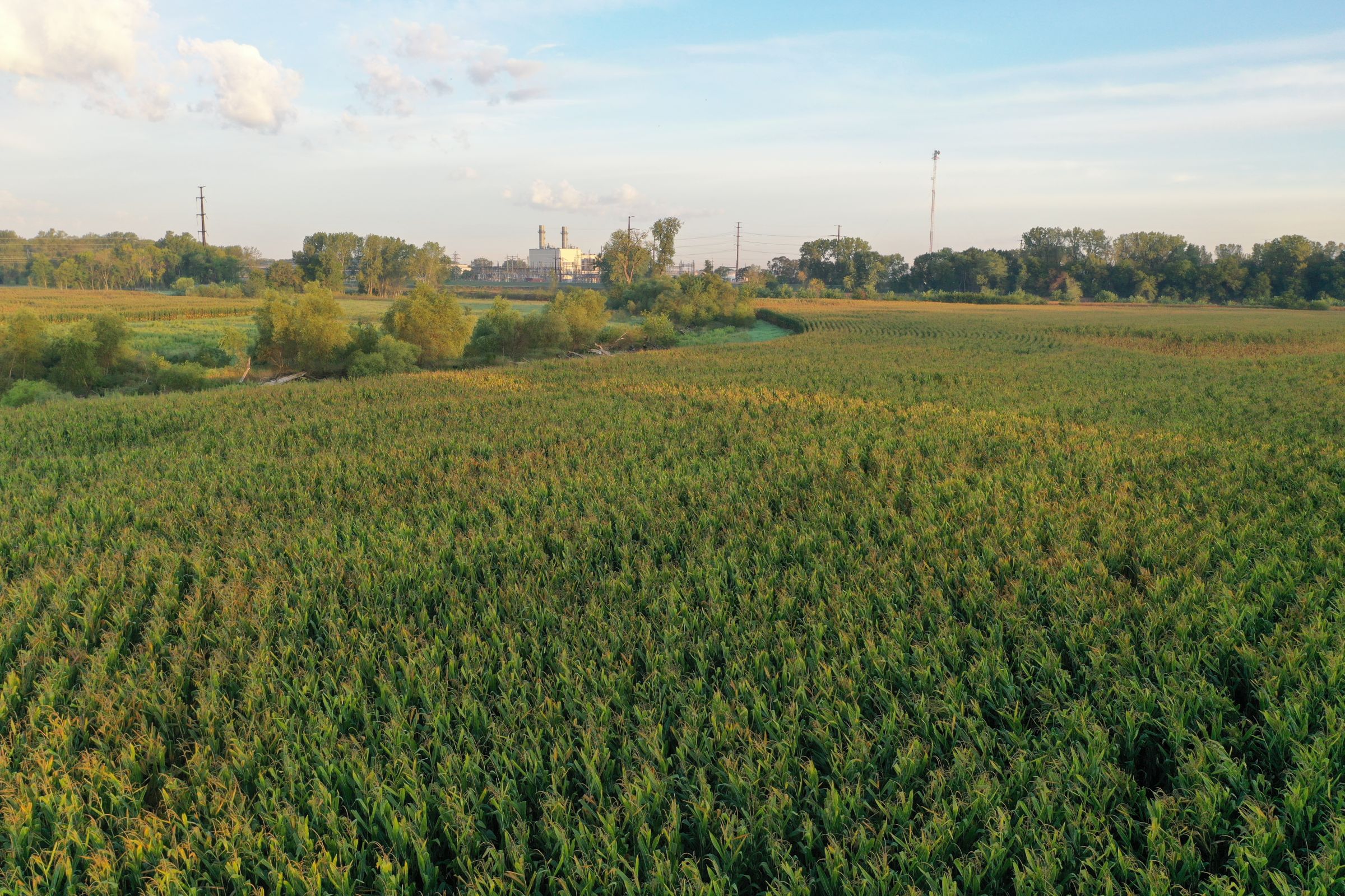 Polk County Iowa Farmland For Sale 5