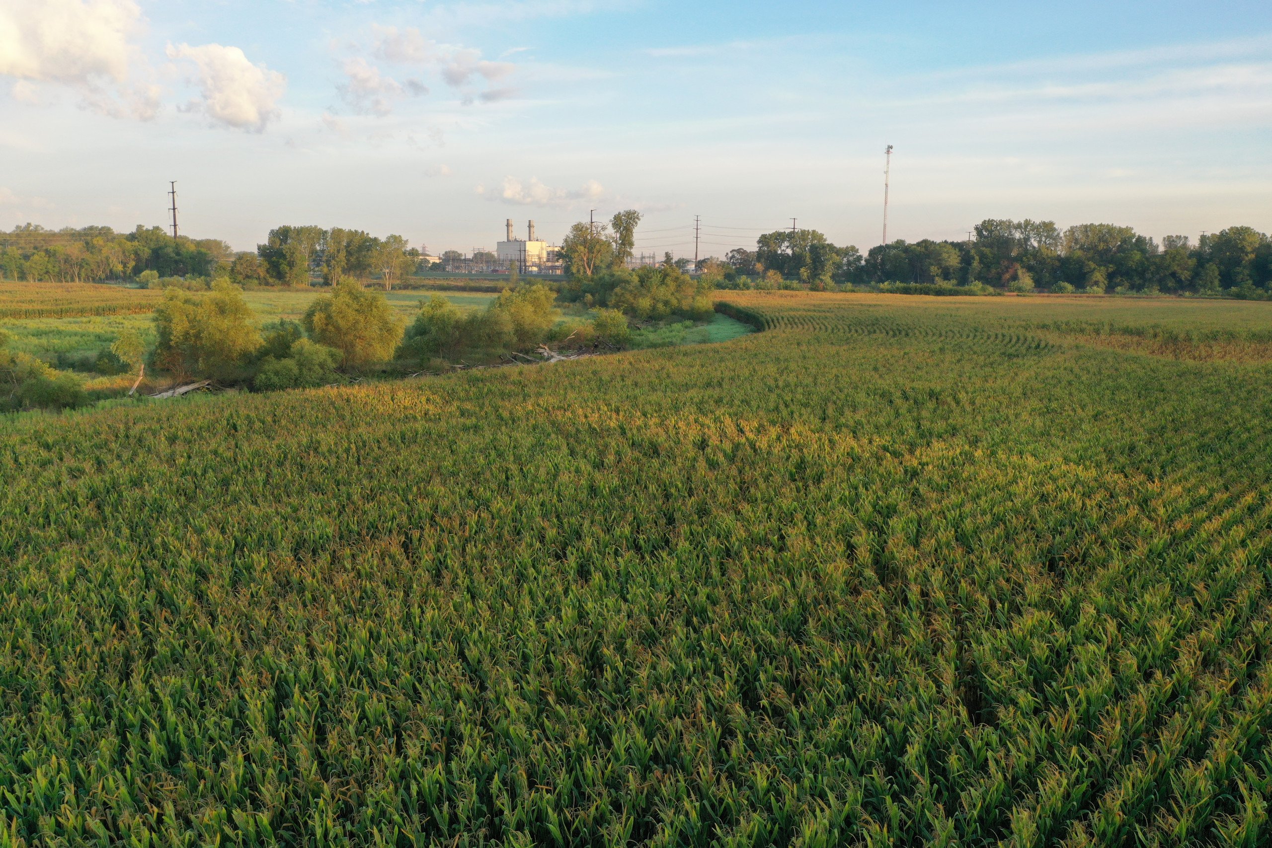 Polk County Iowa Farmland For Sale 6