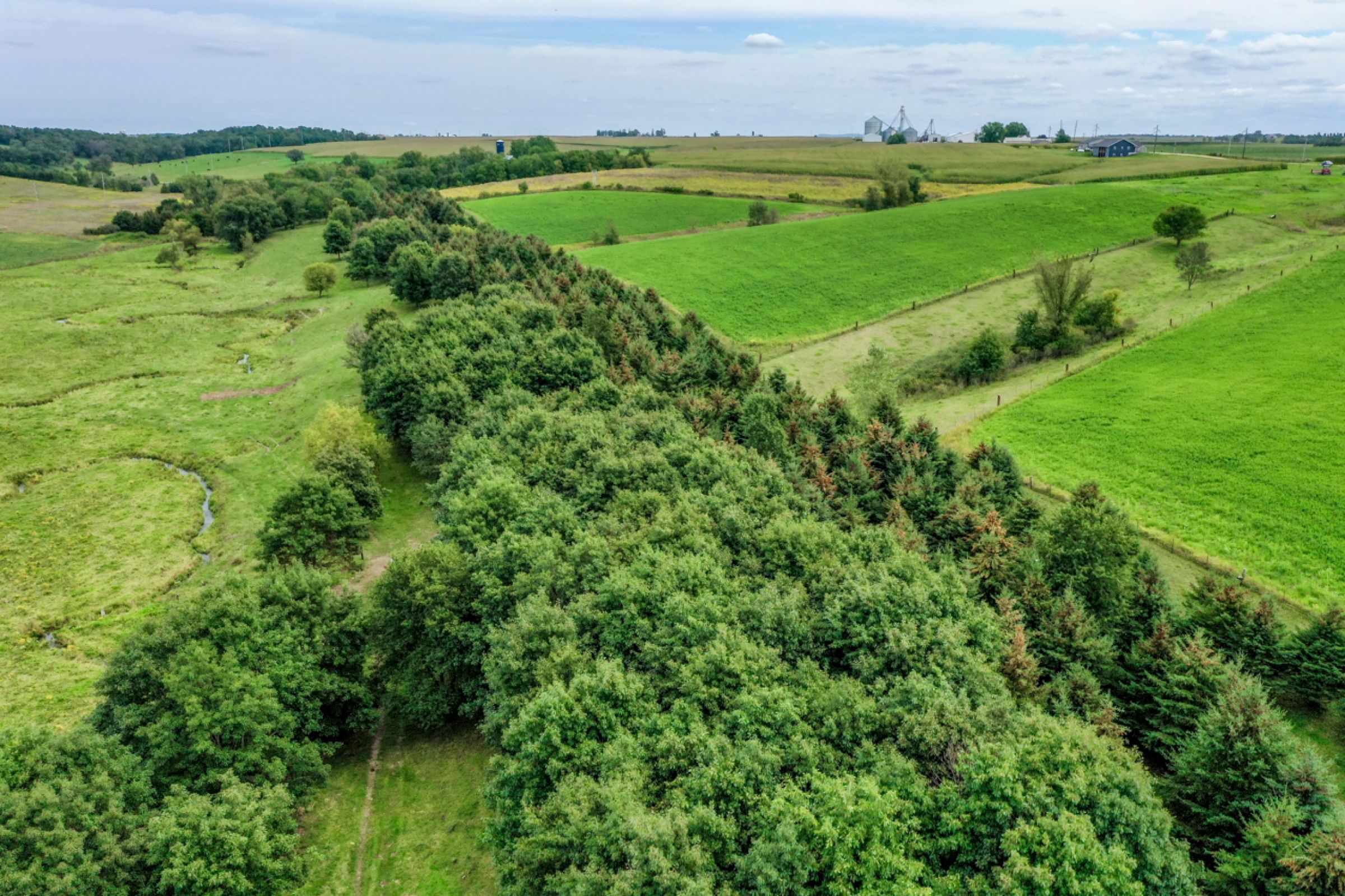 grant-county-wisconsin-80-acres-listing-number-15728-15-2021-09-03-200617.jpg