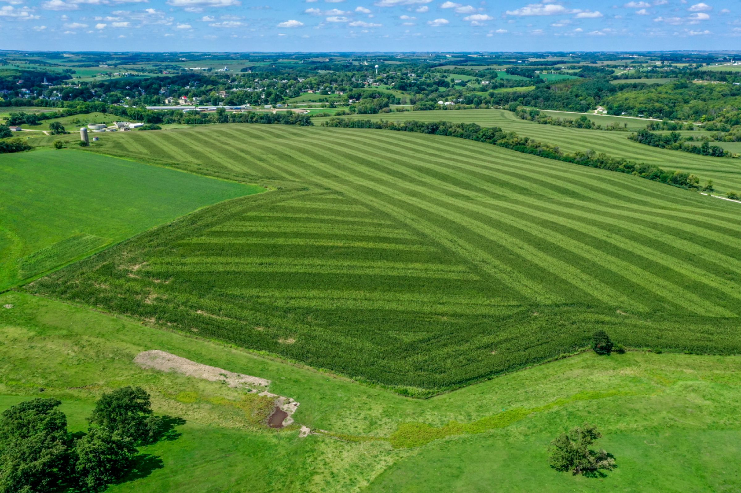 land-lafayette-county-wisconsin-120-acres-listing-number-15729-13-2021-09-03-204845.jpg