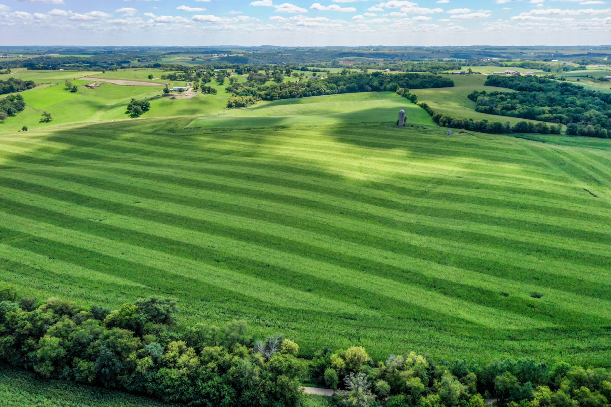 land-lafayette-county-wisconsin-120-acres-listing-number-15729-5-2021-09-03-204841.jpg