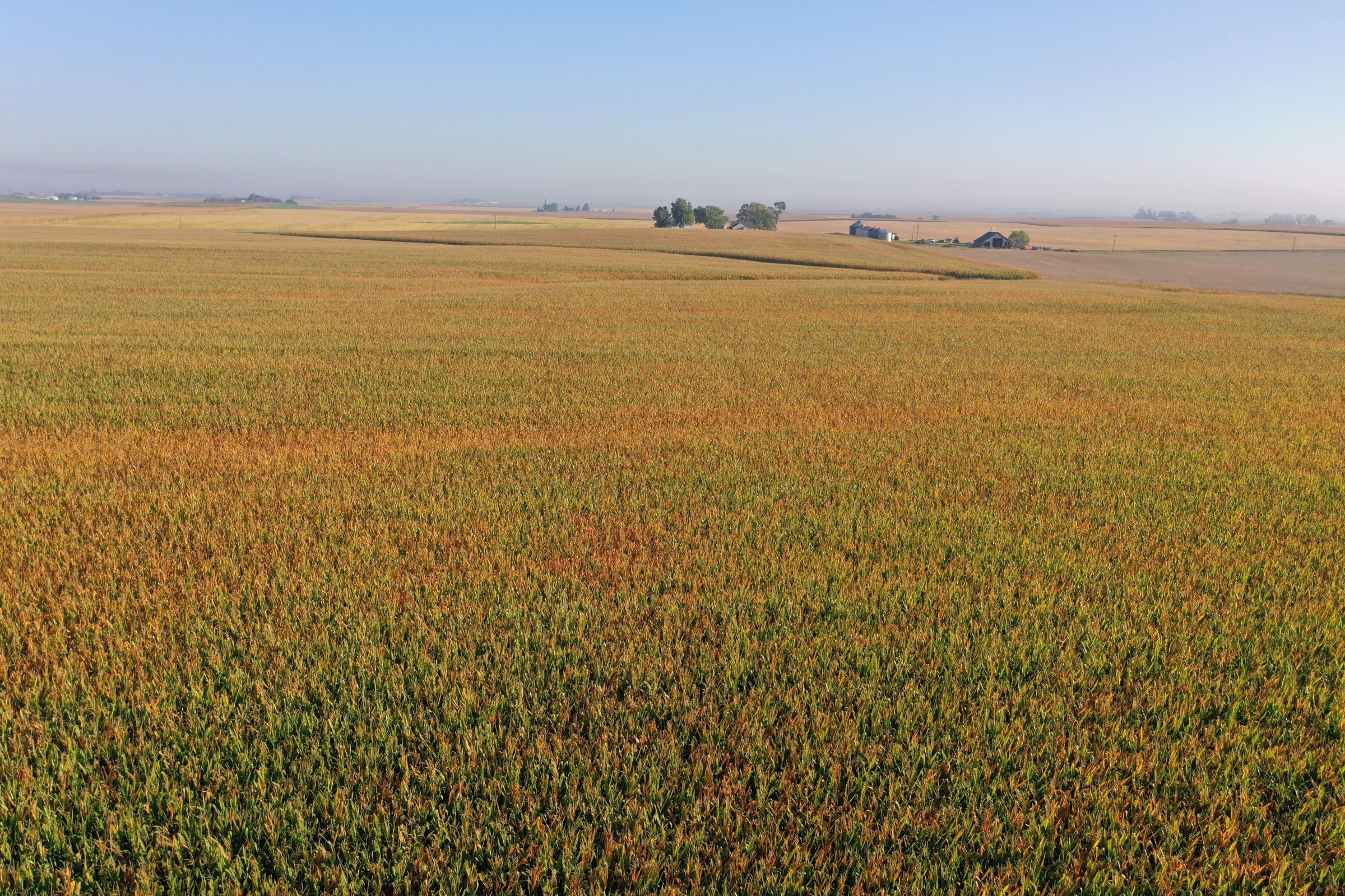 Greene County Iowa Farmland For Sale