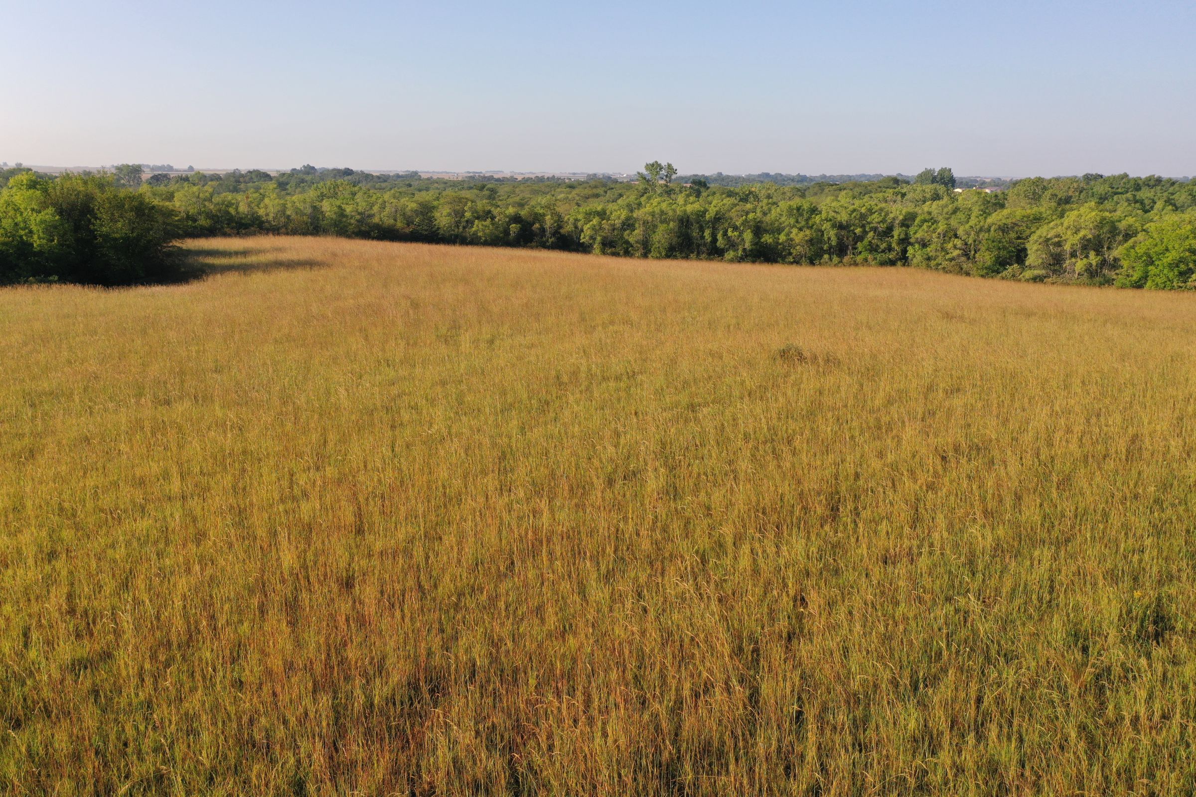 Greene County Iowa Farmland For Sale