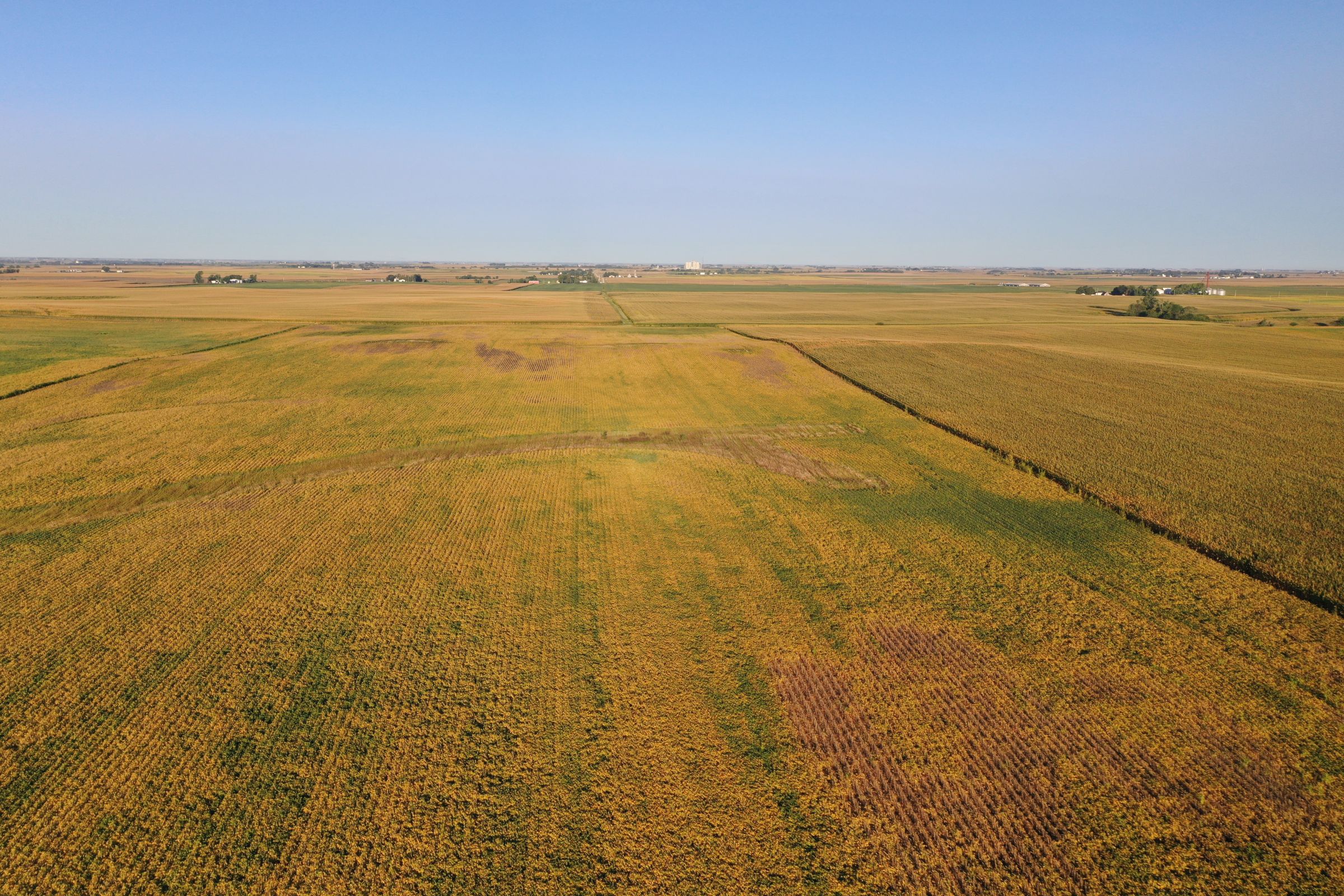 Greene County Iowa Farmland For Sale