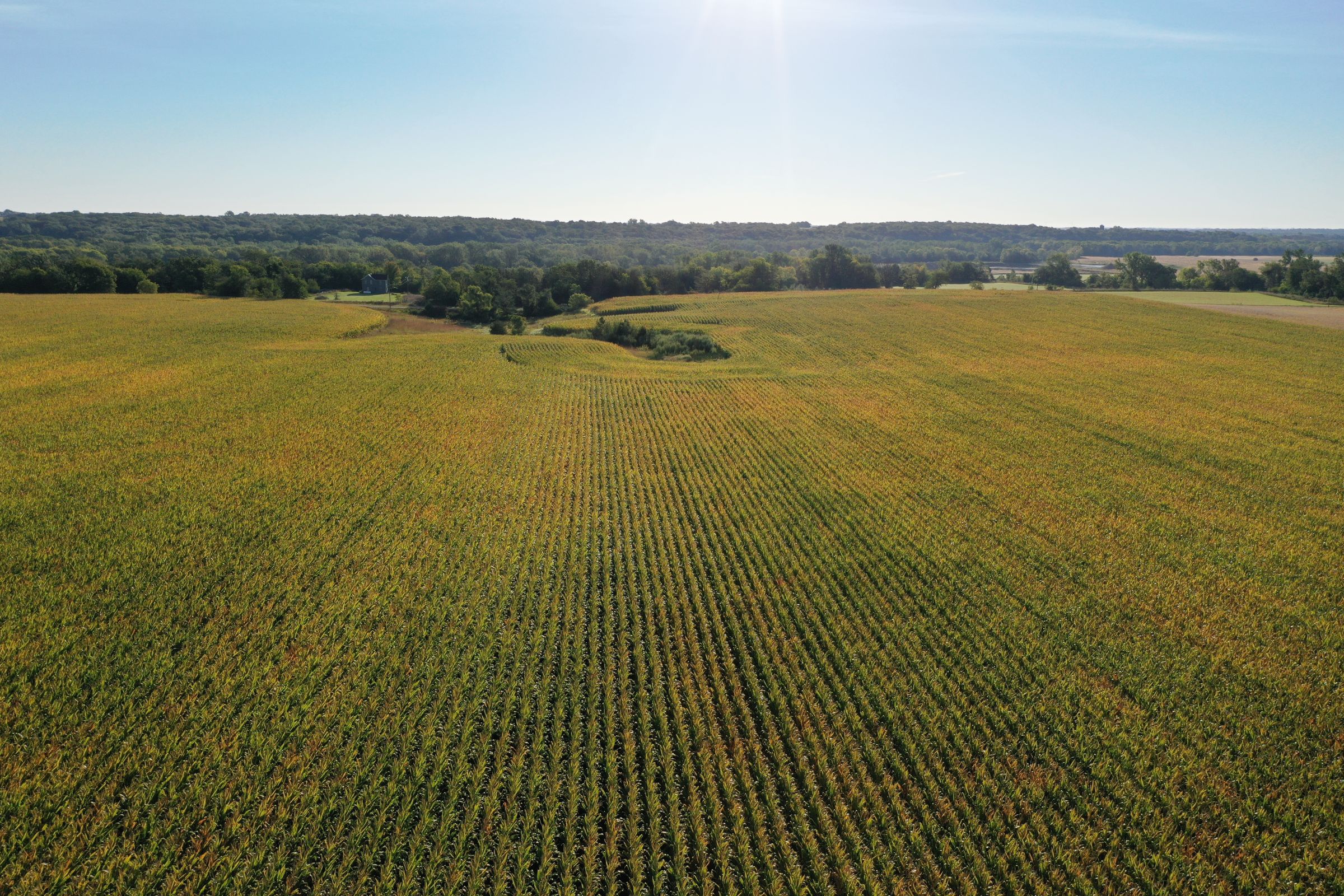 Greene County Iowa Farmland For Sale