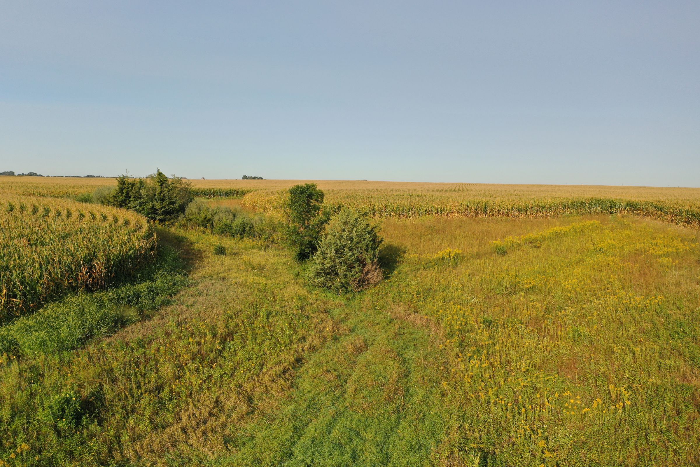 Greene County Iowa Farmland For Sale