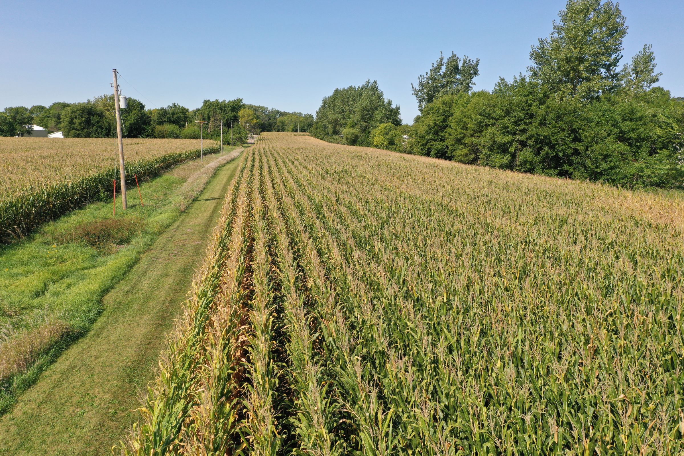 Guthrie County Iowa Farmland for Sale